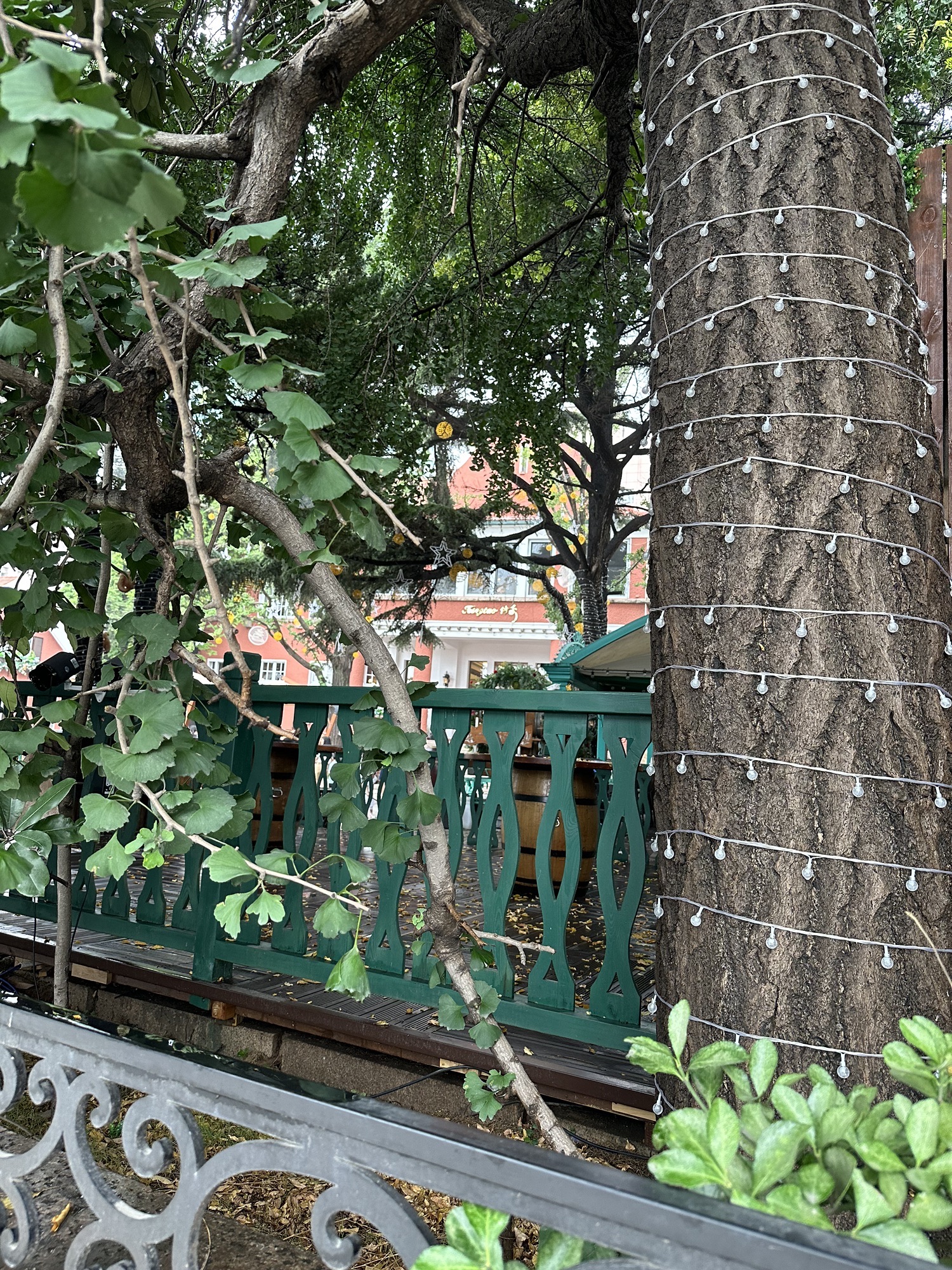 青岛国际俱乐部旧址旅行图片