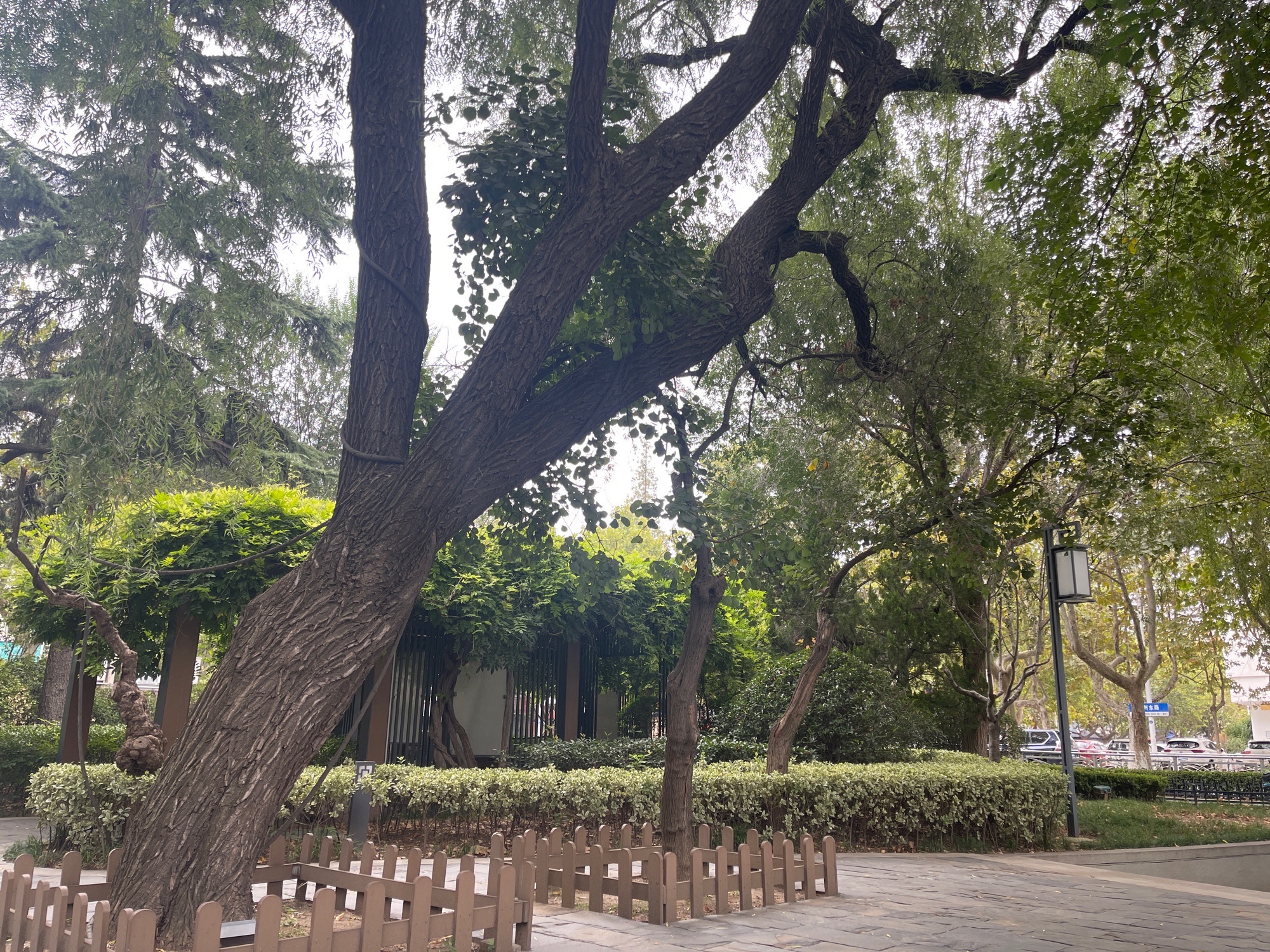 白水泉旅行图片 2