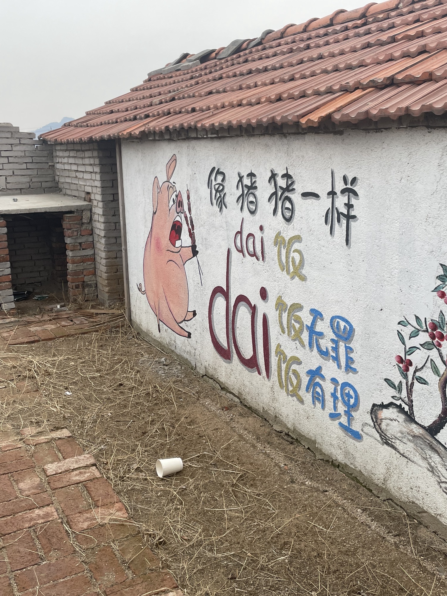 杨家山里旅行图片 2