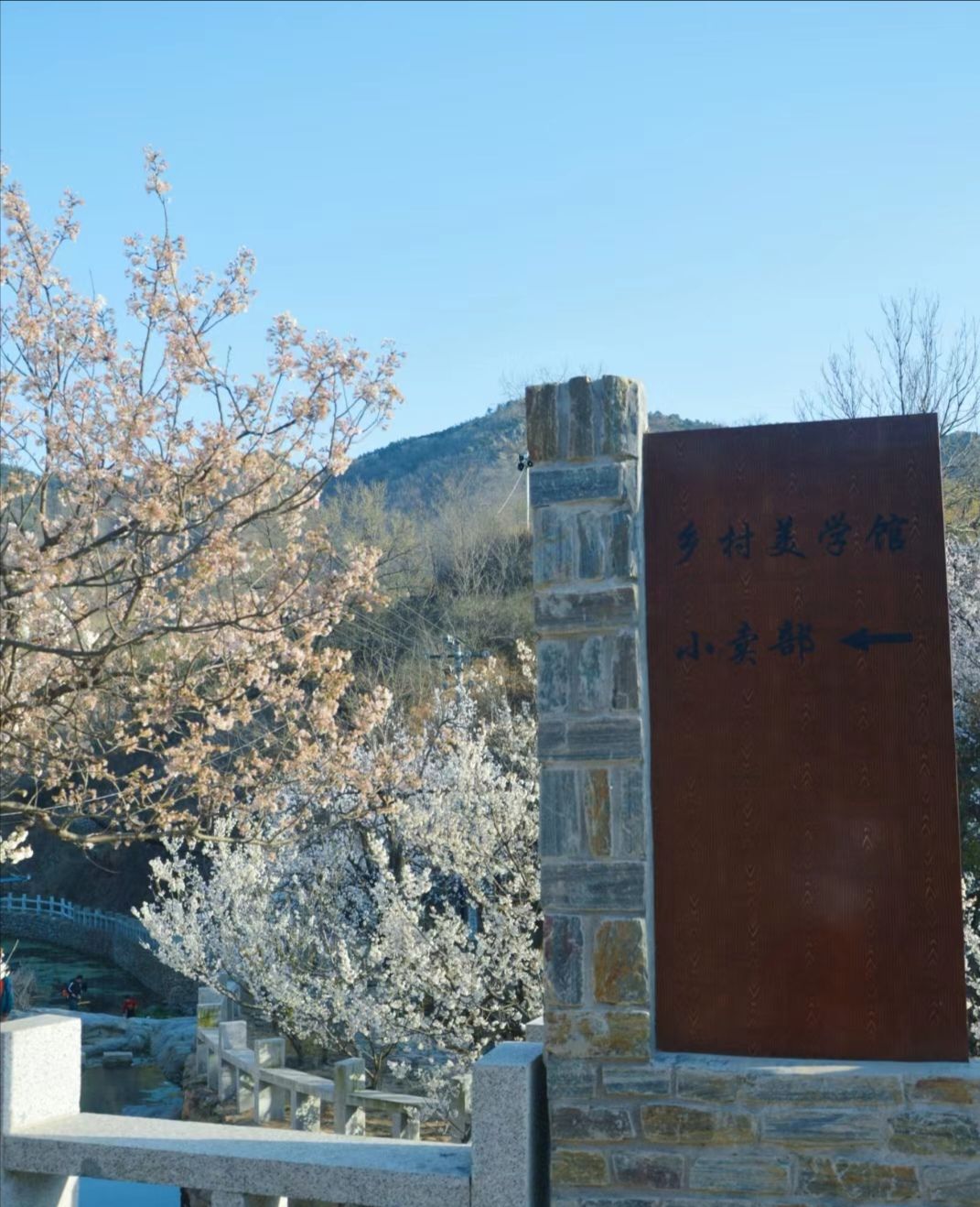 杨家山里旅行图片 2