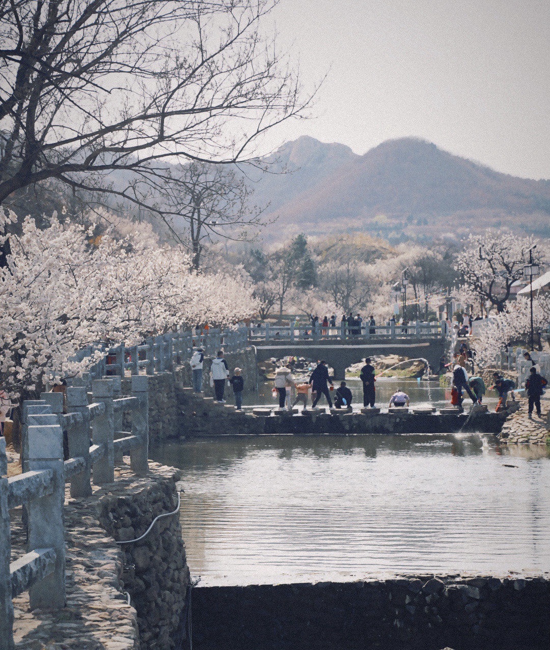 杨家山里旅行图片 1