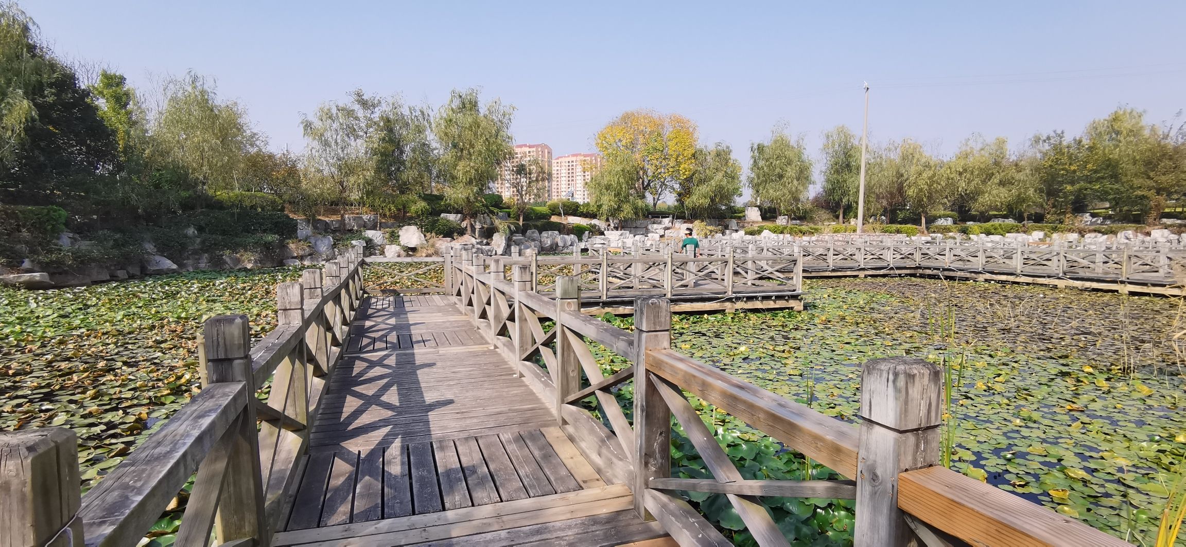 温泉公园旅行图片 2