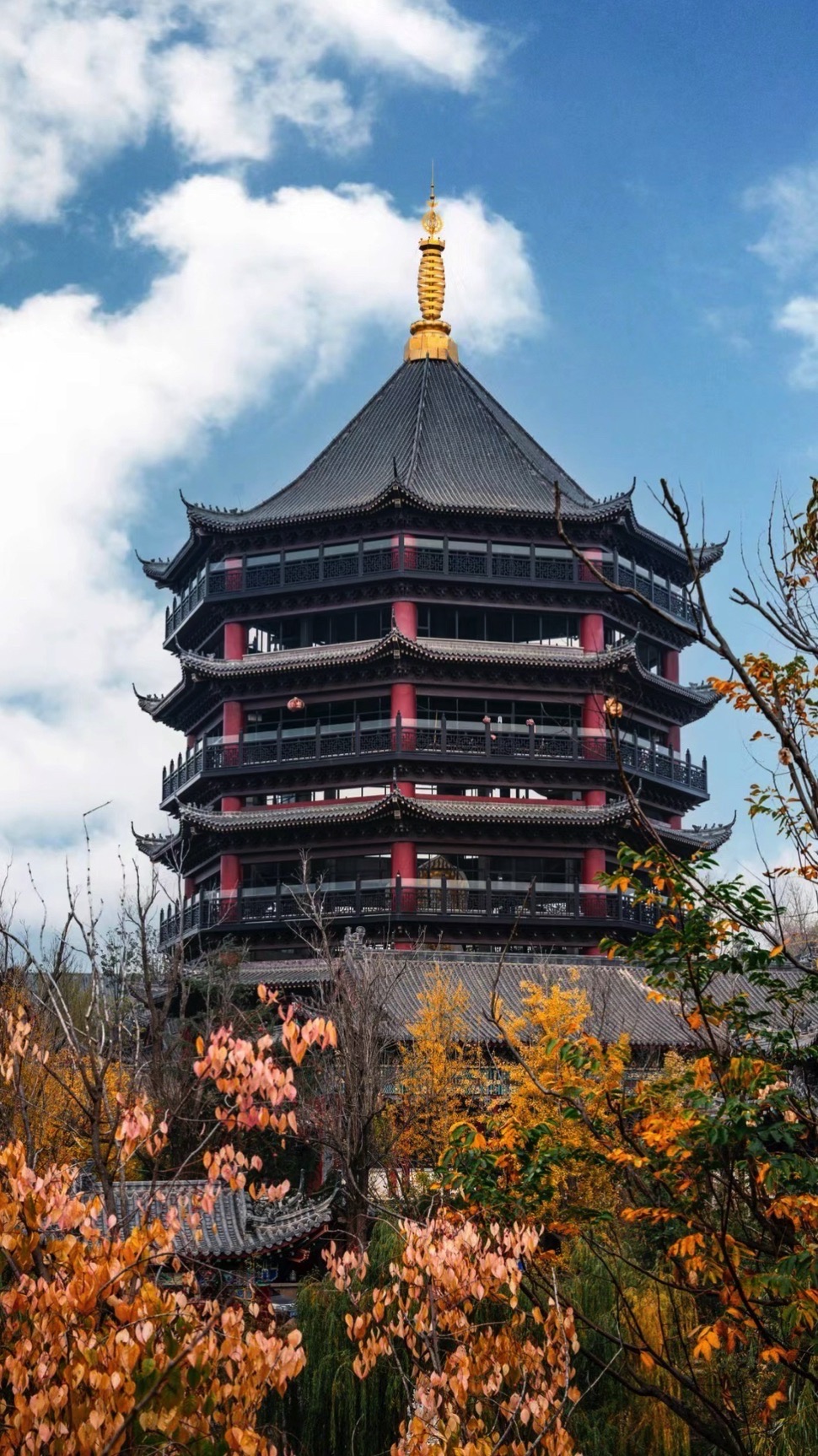 小龙山旅行图片 1