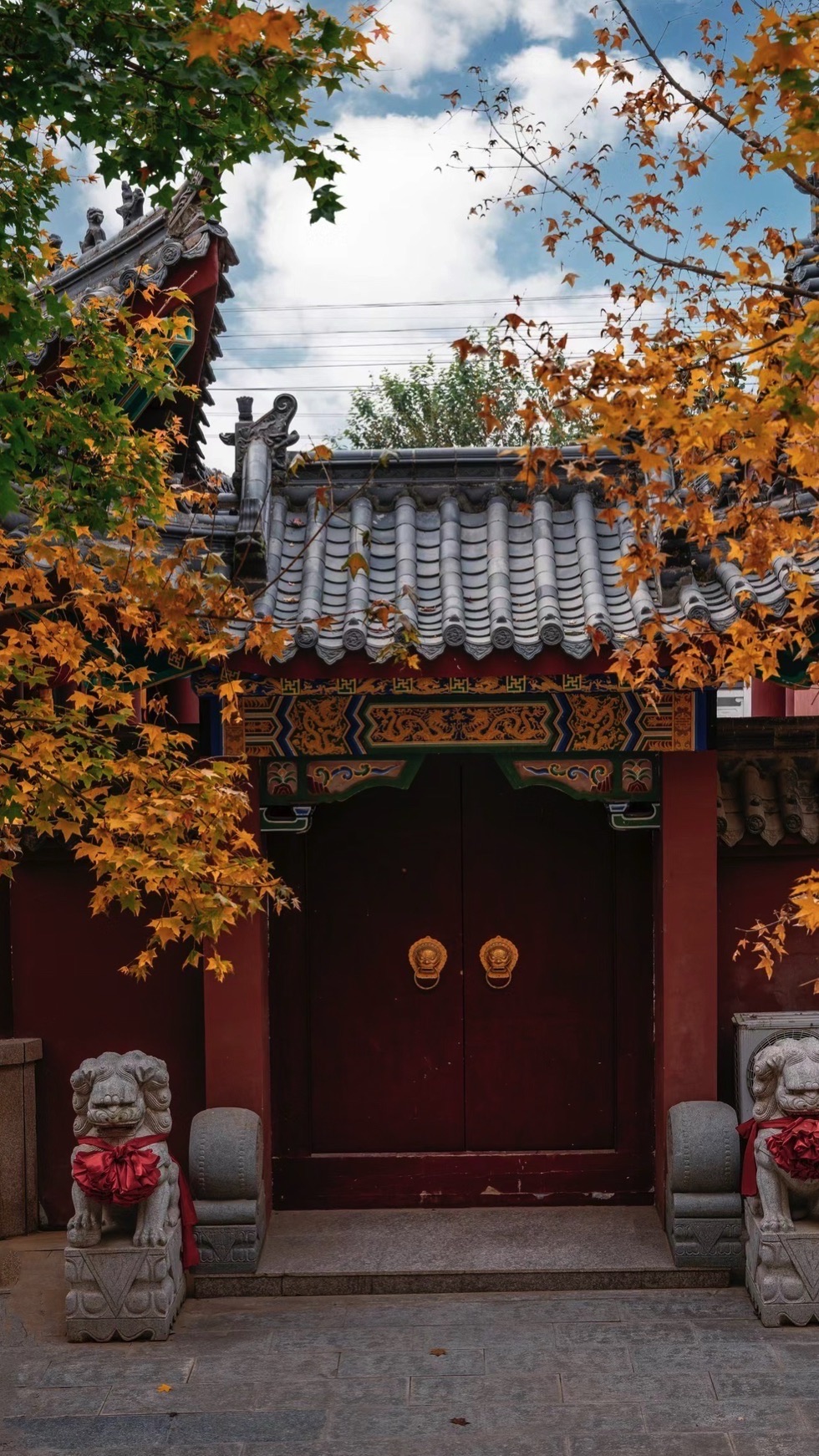 小龙山旅行图片 2