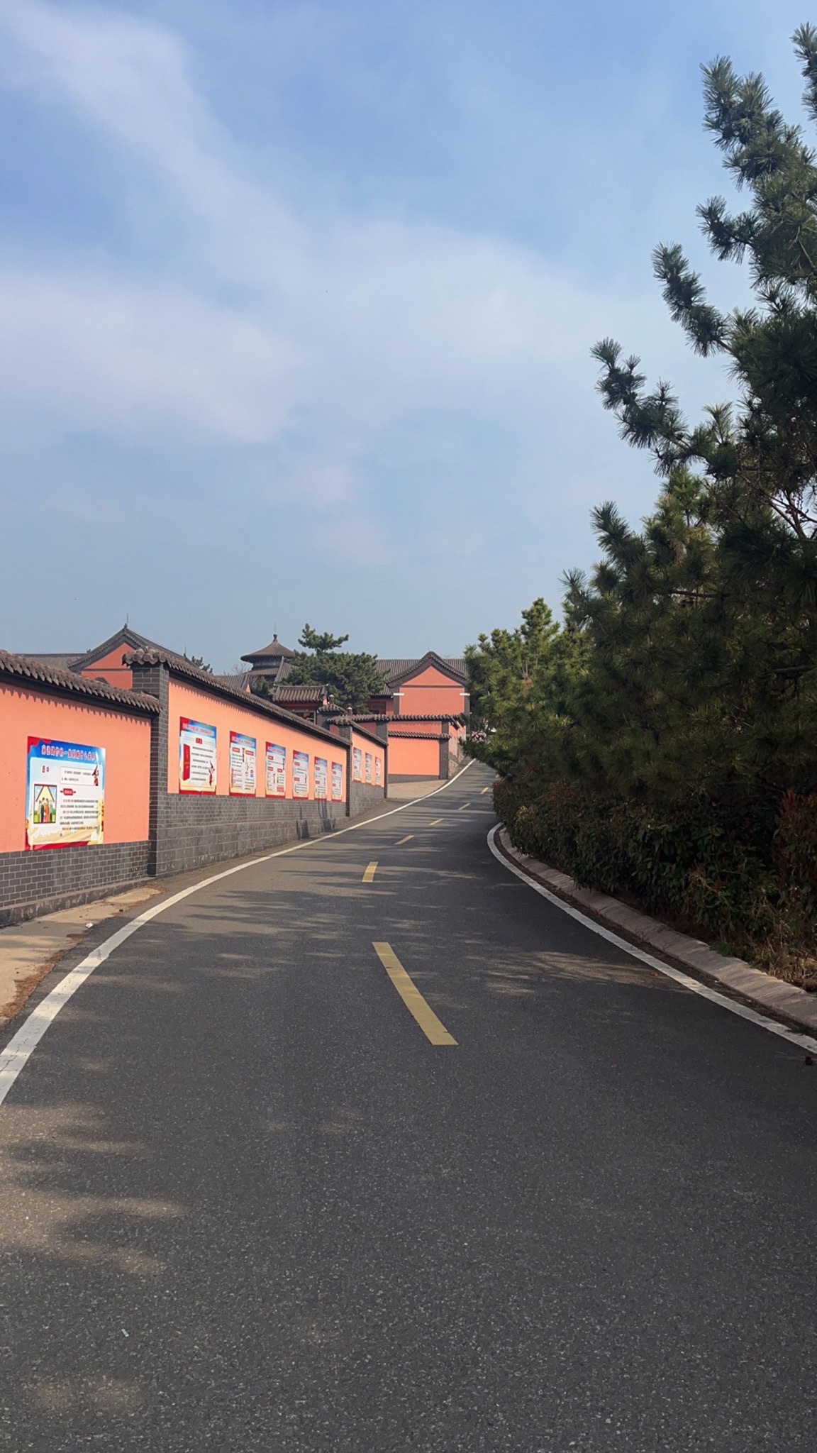 小龙山旅行图片 3