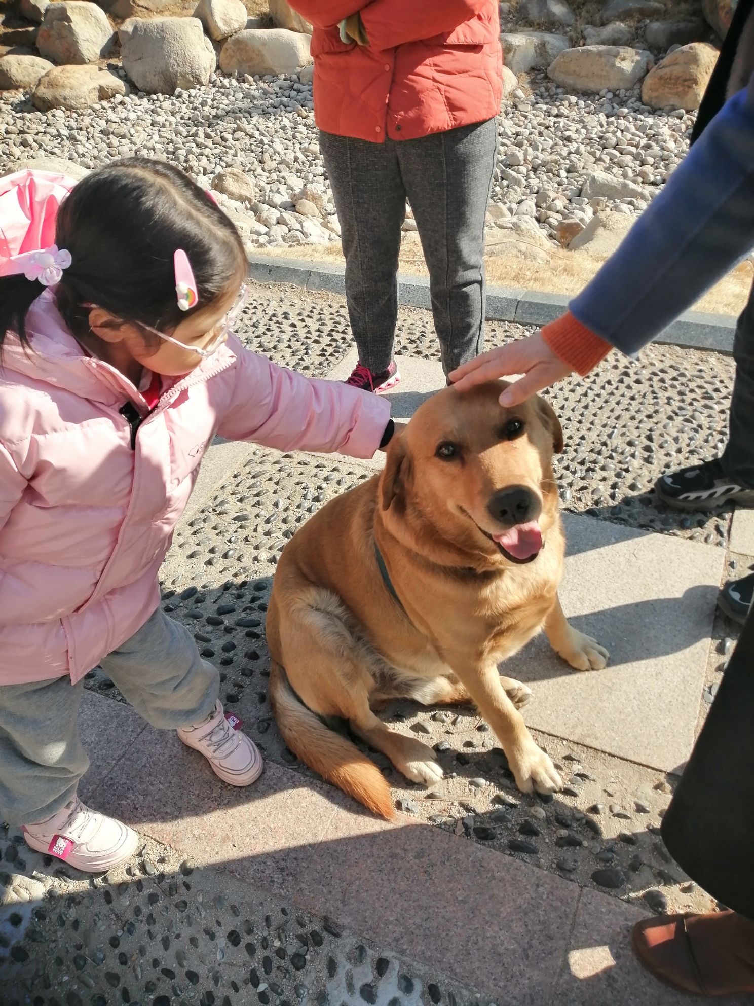 莱西沙岭河公园旅行图片 3