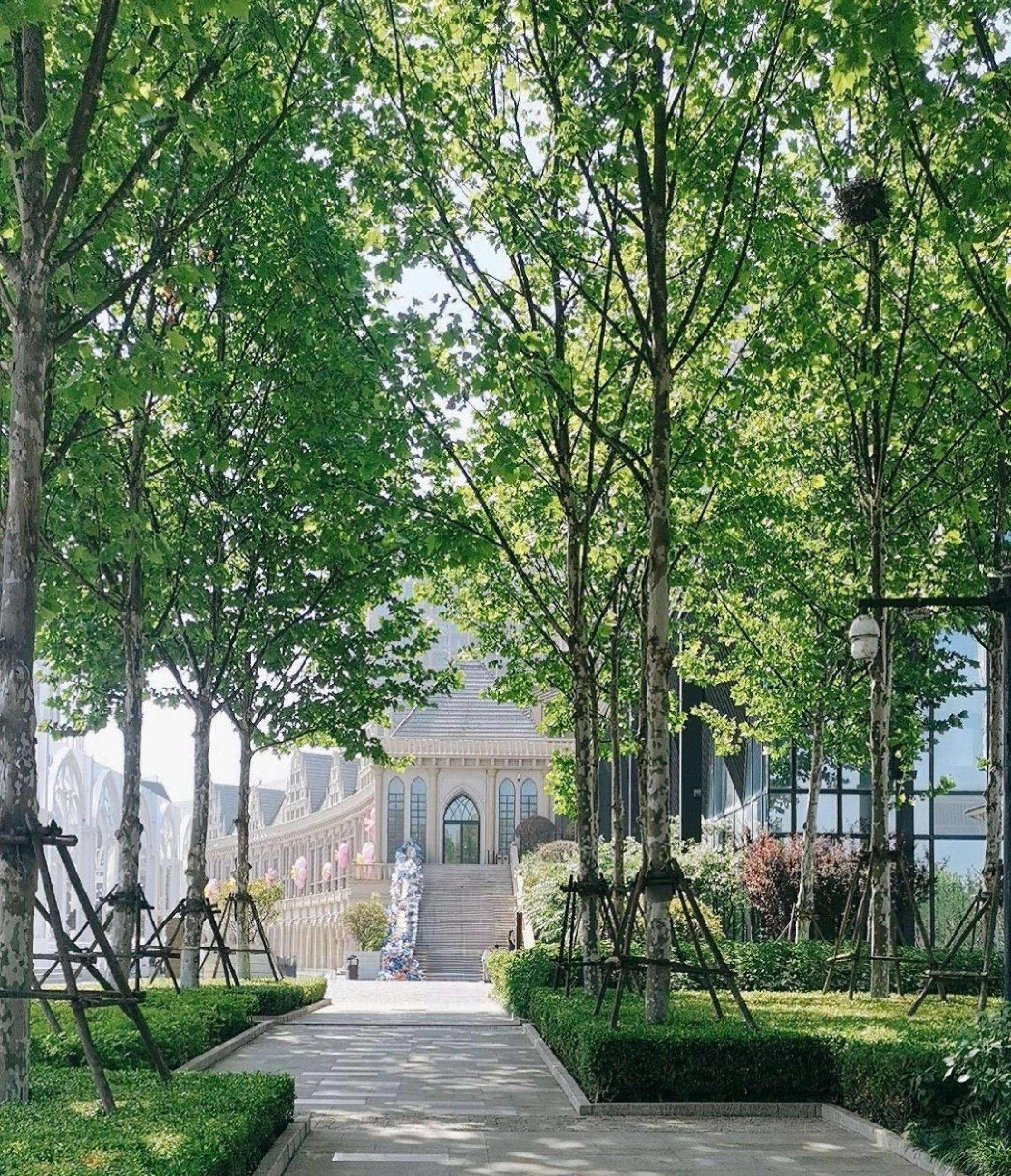 海滨公园旅行图片 1