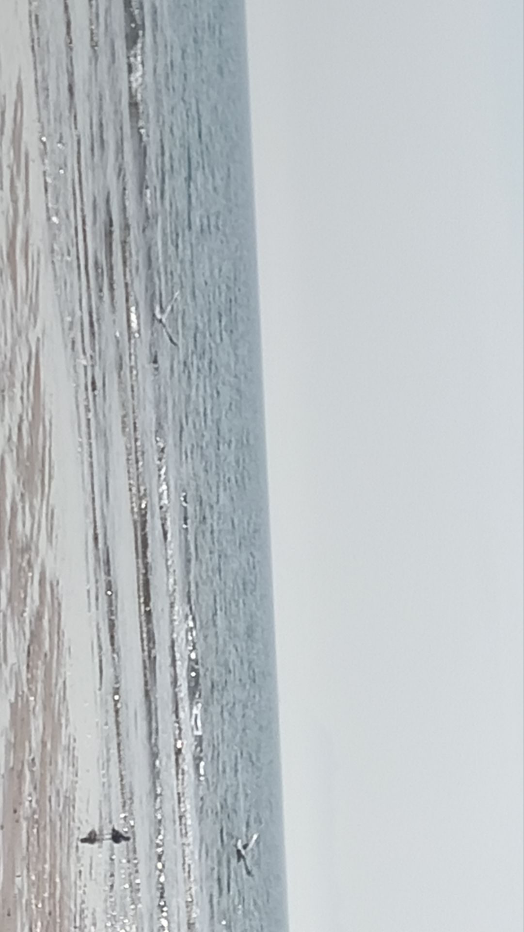 海滨公园旅行图片 1