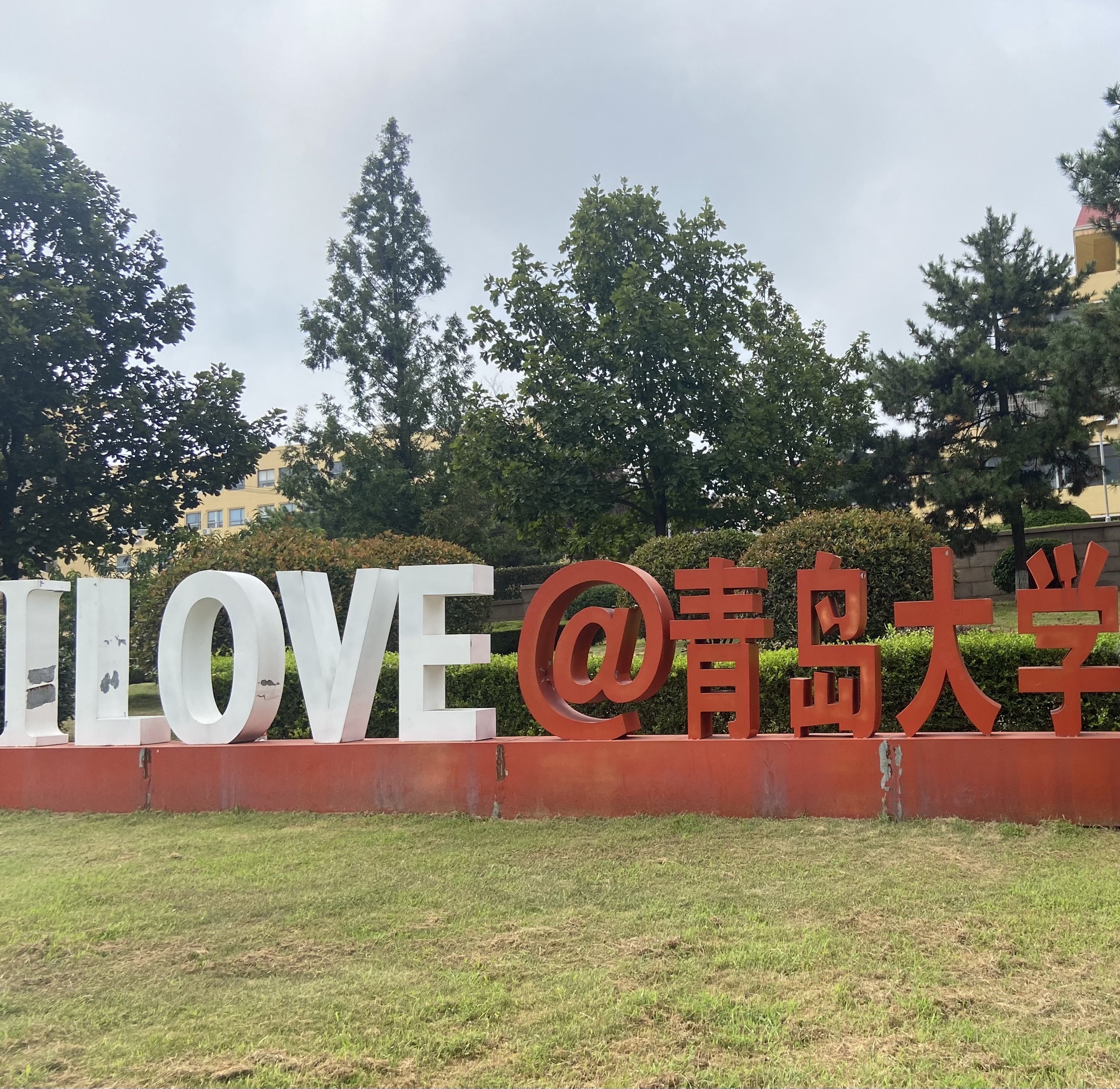 青岛大学(金家岭校区)
