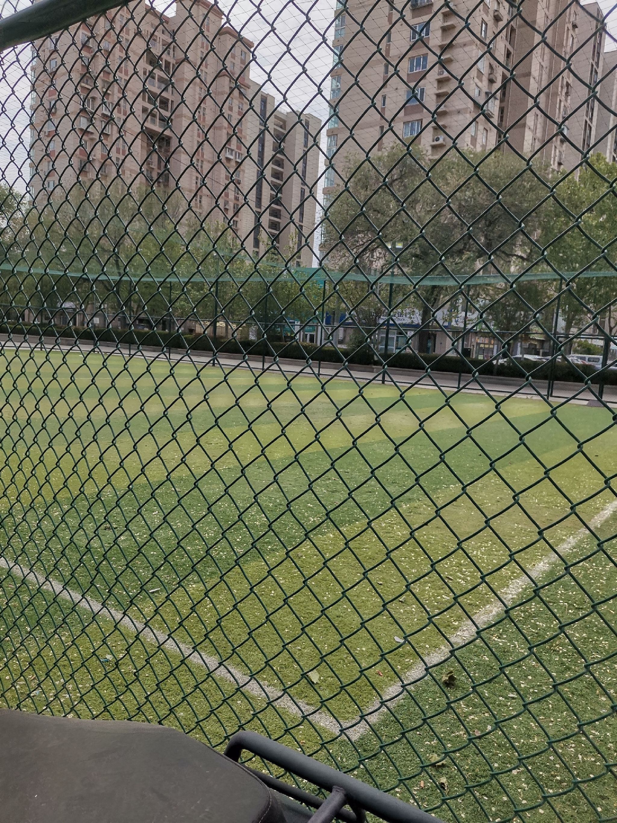 青岛四方奥林匹克体育公园旅行图片 1