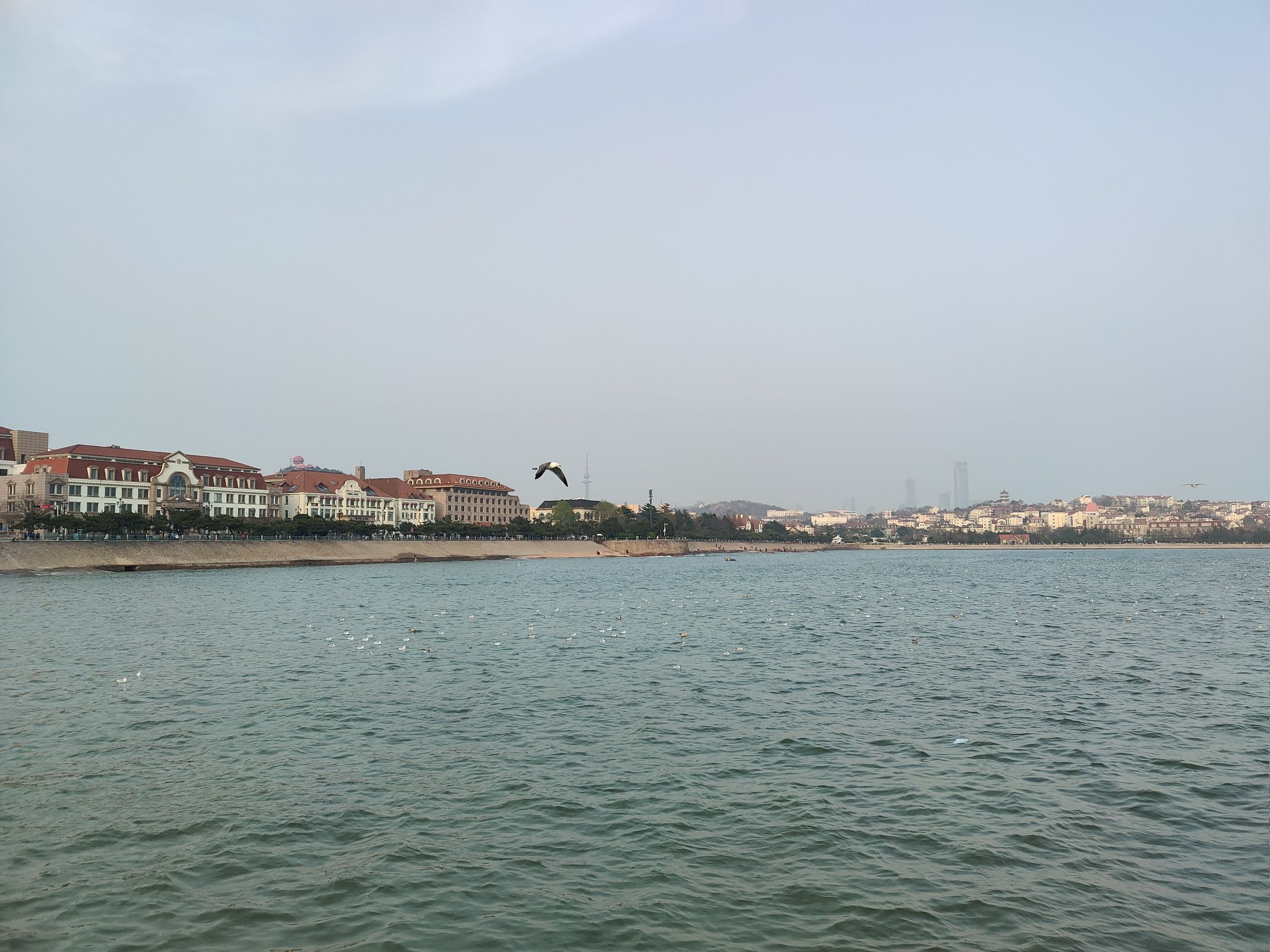 东南山公园旅行图片 3