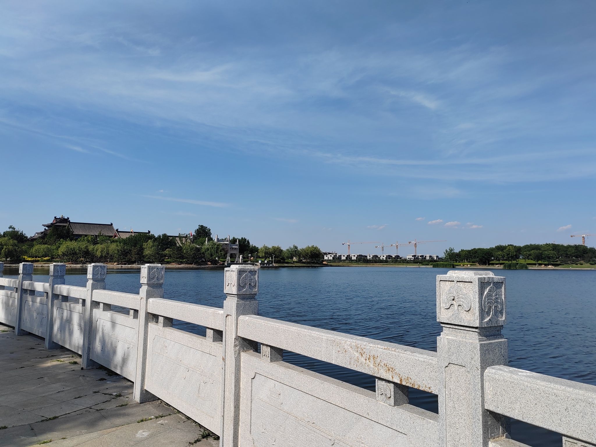 山东少海国家湿地公园旅行图片 2