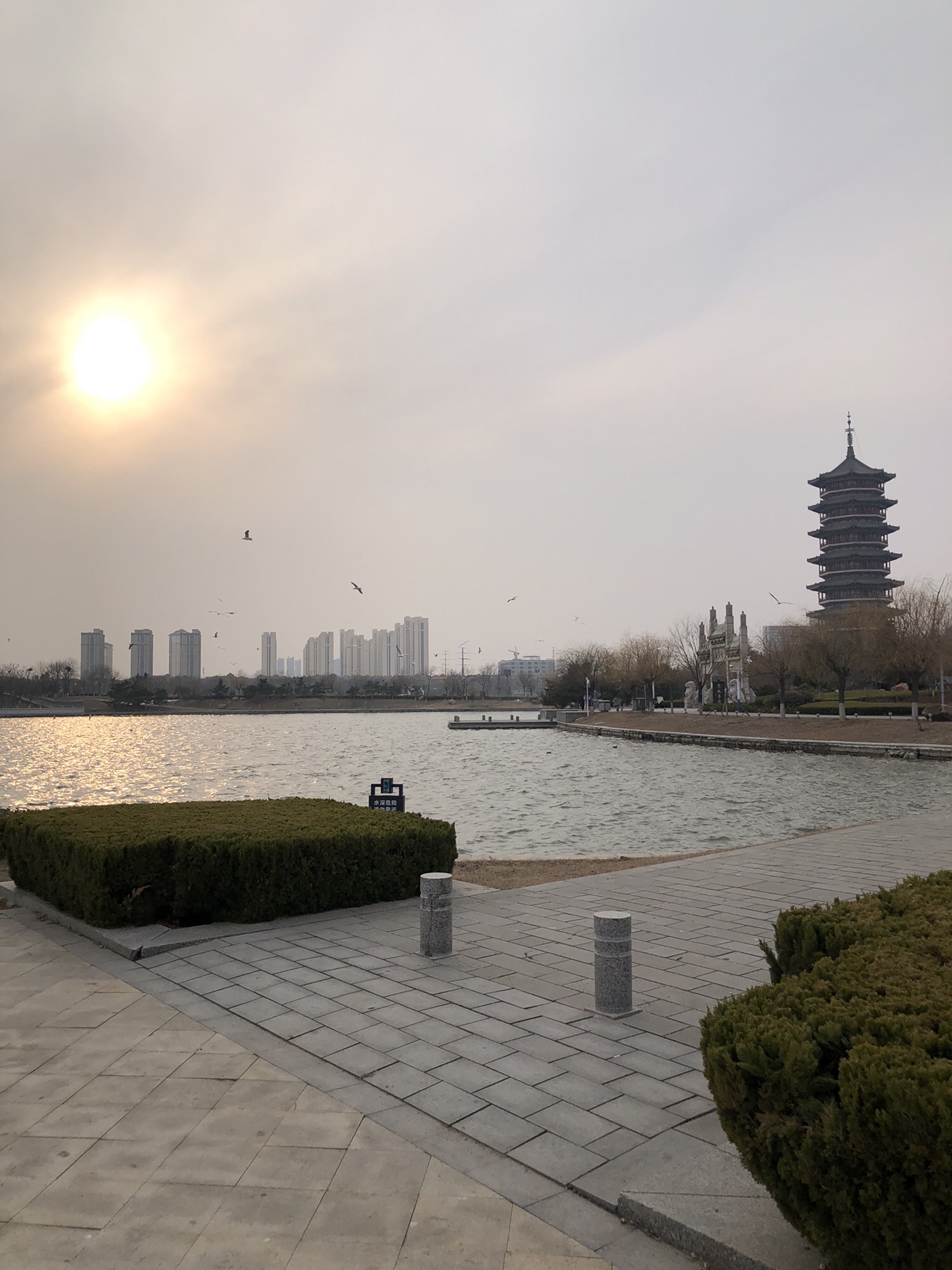 山东少海国家湿地公园旅行图片 3