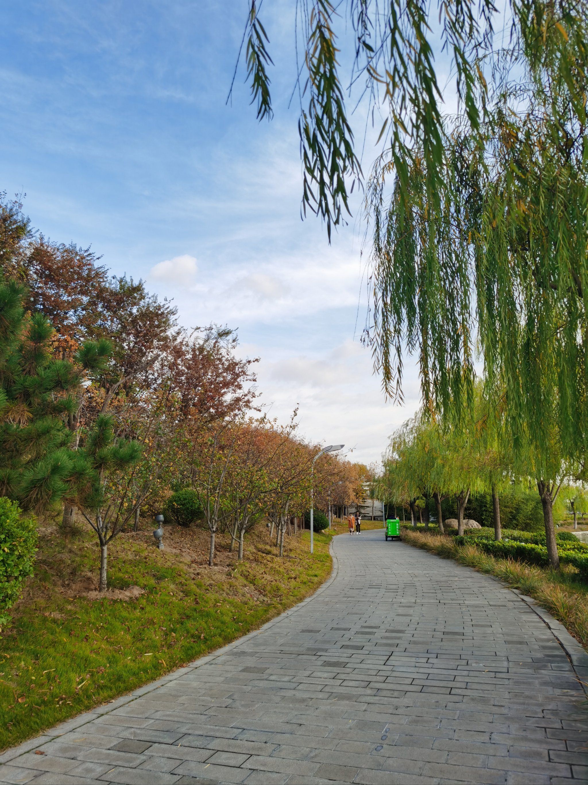 山东少海国家湿地公园旅行图片 2