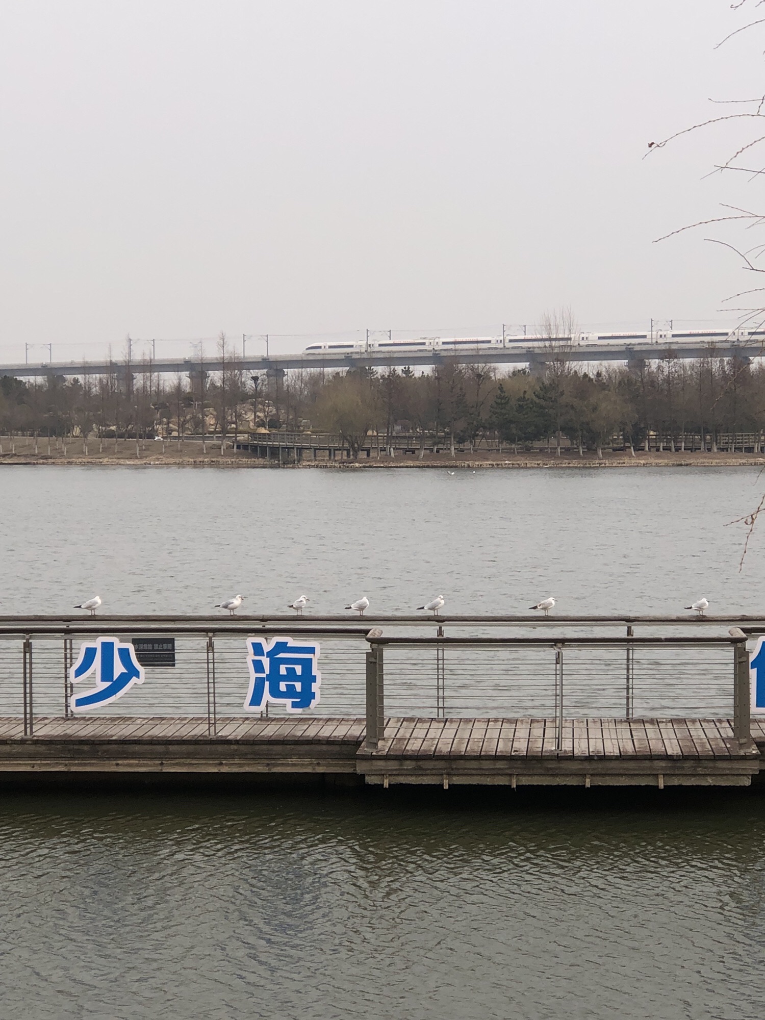 山东少海国家湿地公园旅行图片 2