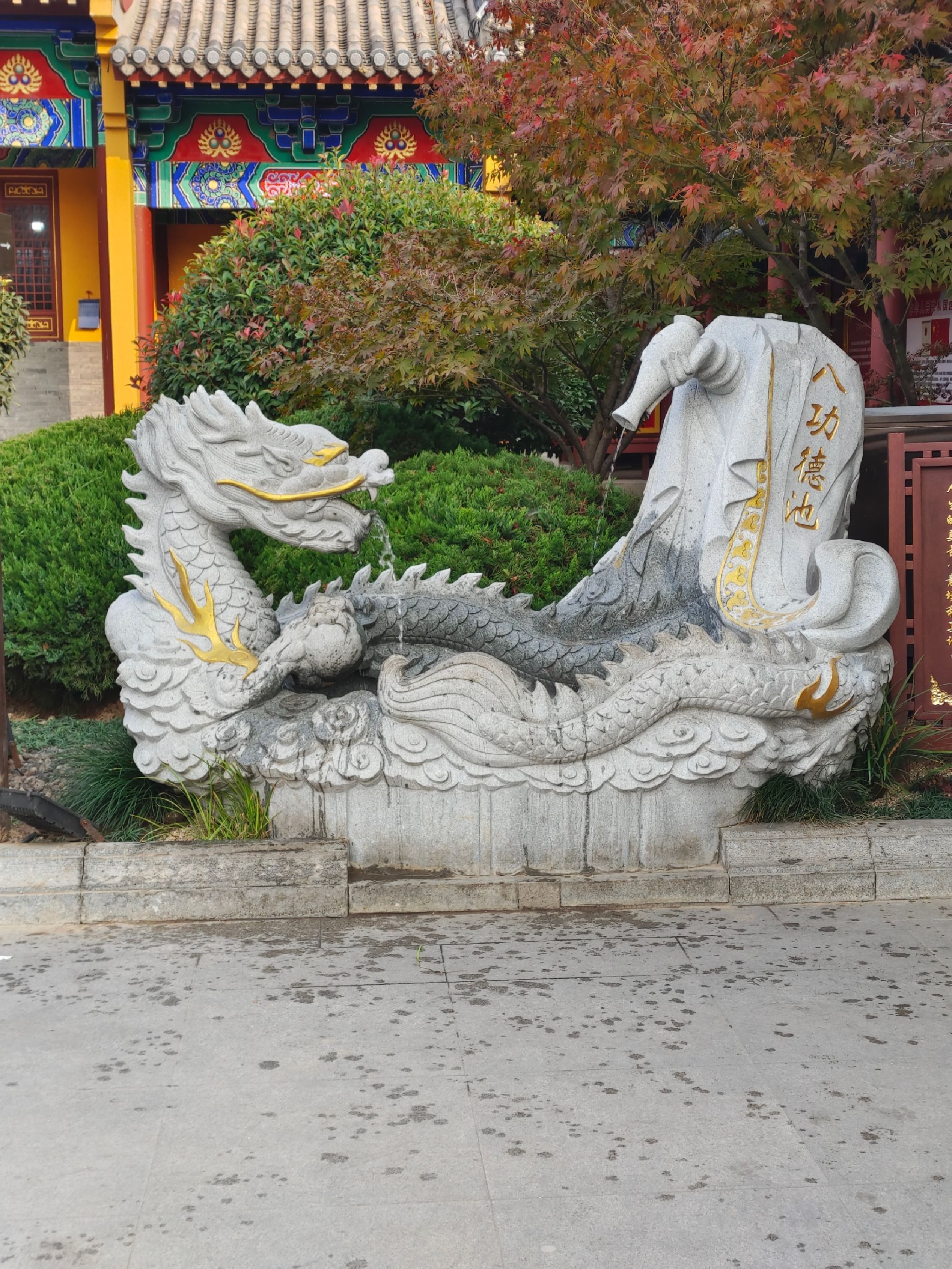 山东少海国家湿地公园旅行图片 2