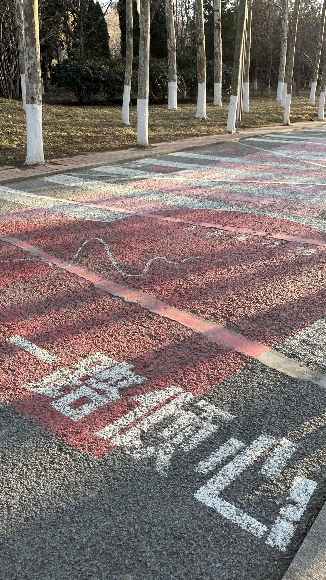 青岛太平角公园旅行图片 2