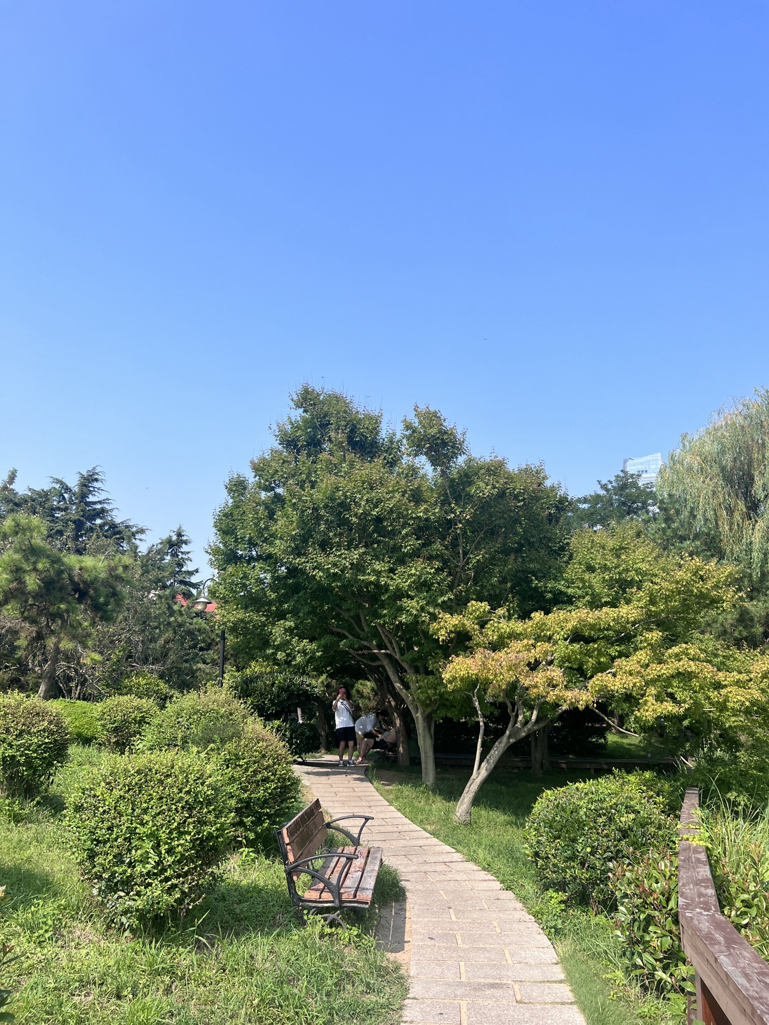 青岛太平角公园旅行图片 3