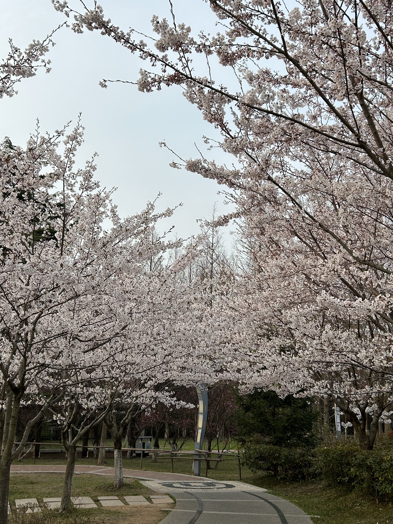青岛太平角公园旅行图片 3