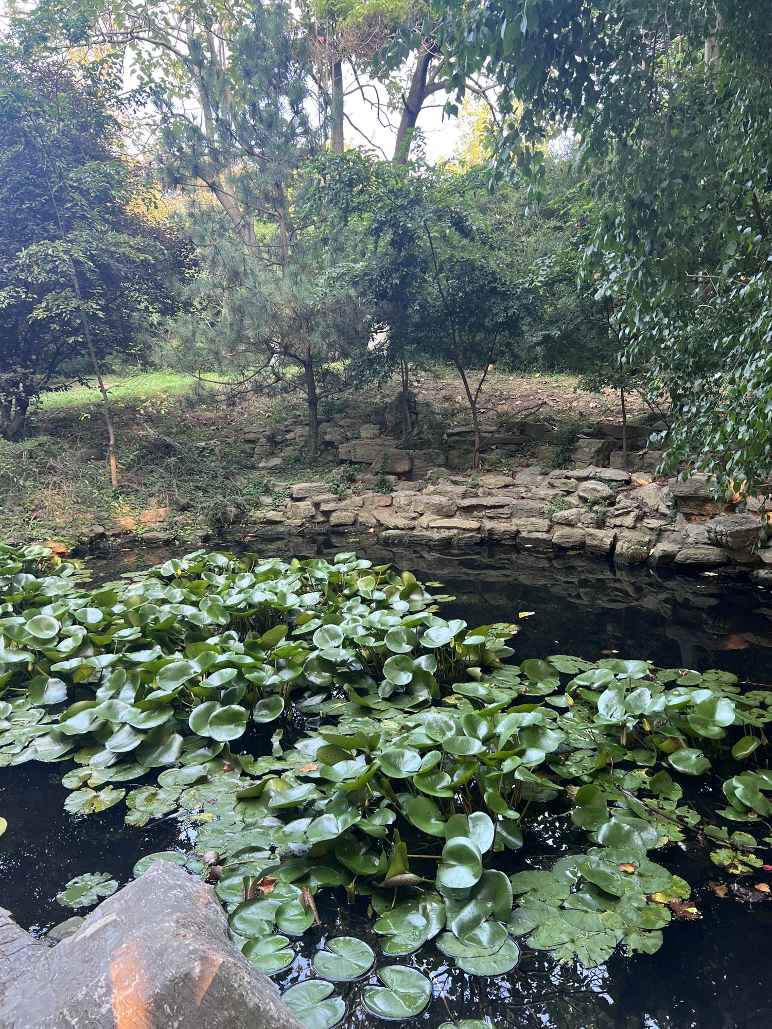 青岛太平角公园旅行图片 1