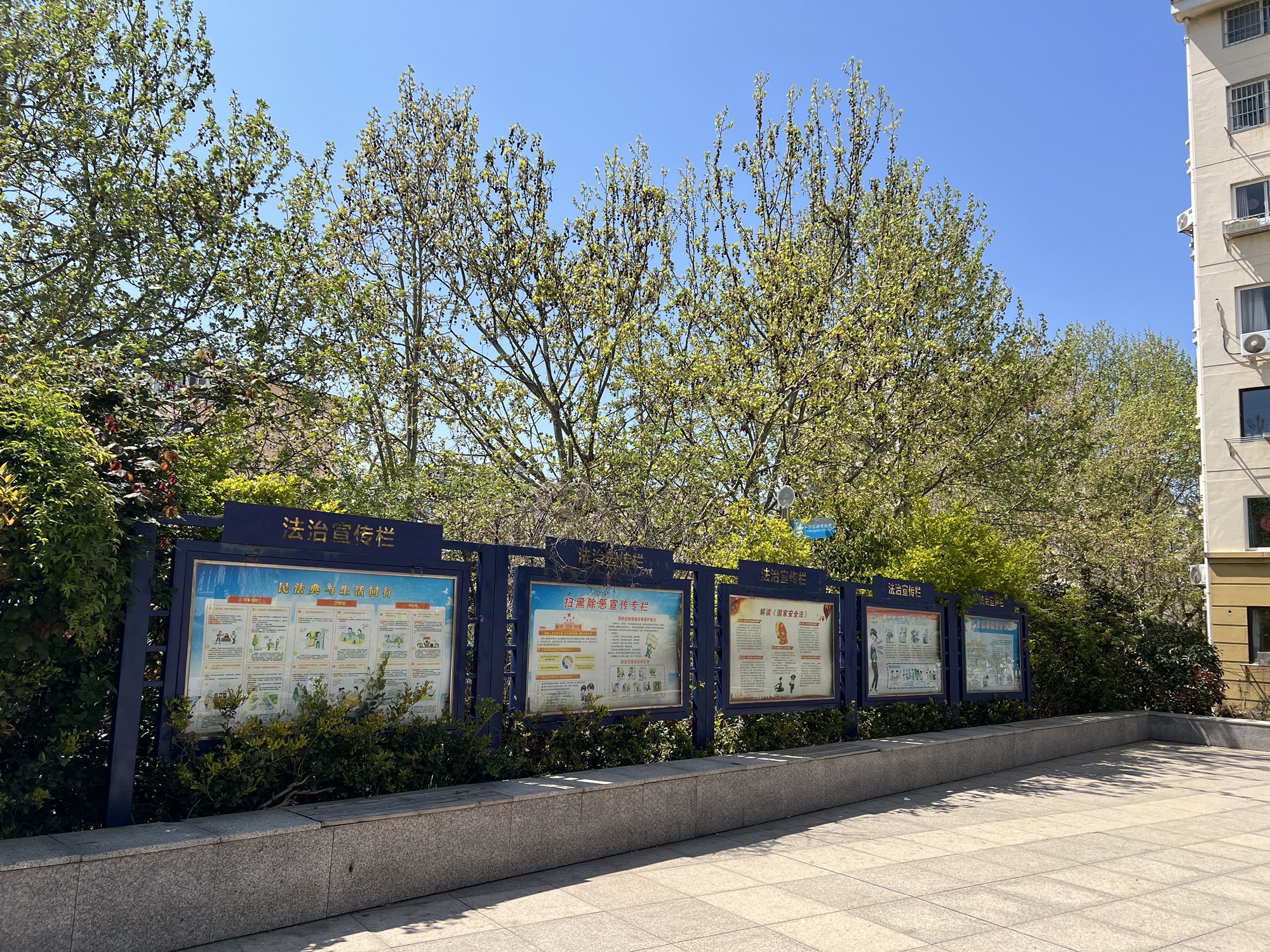 云溪文化广场旅行图片 2