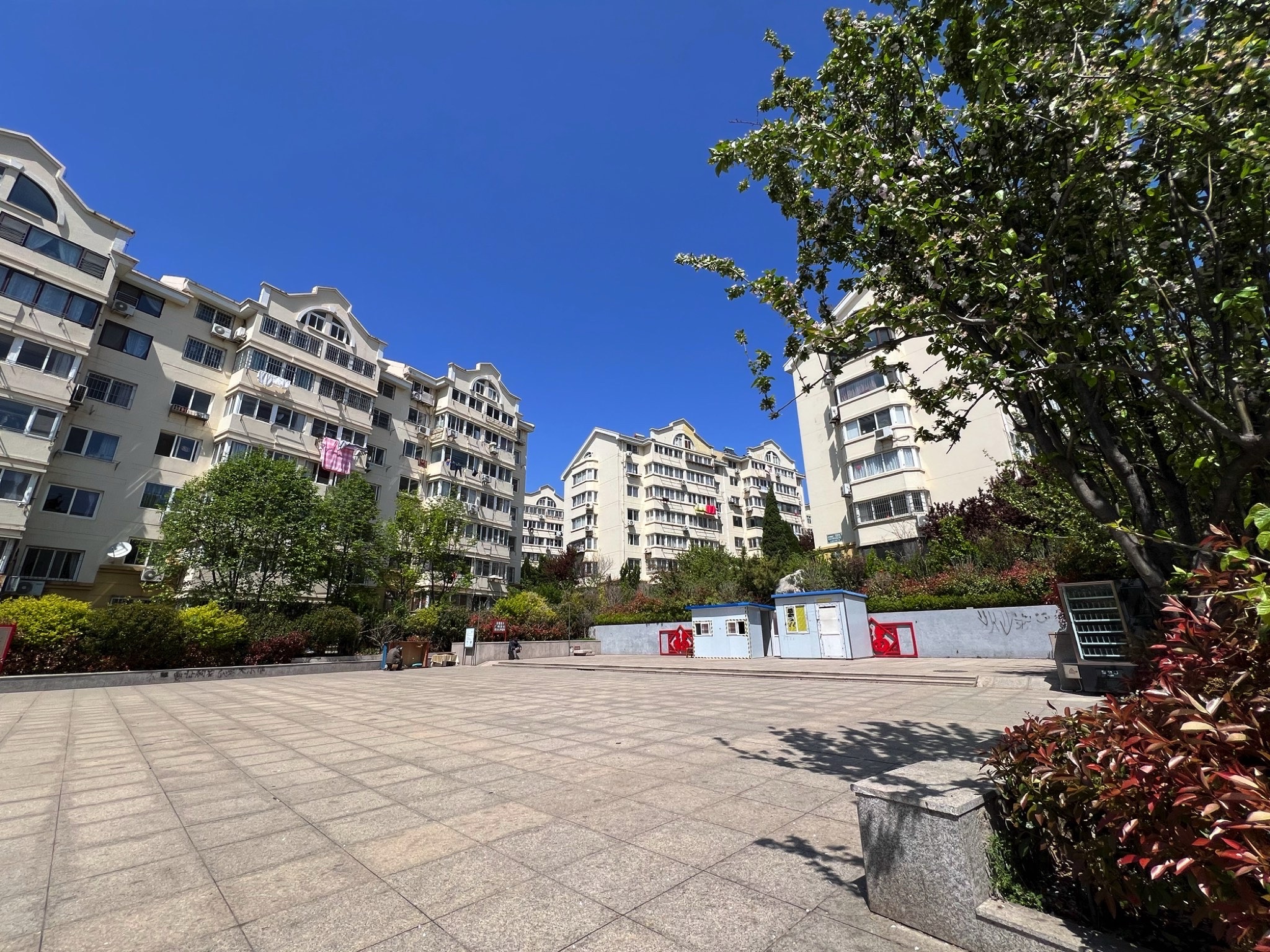 云溪文化广场旅行图片 1