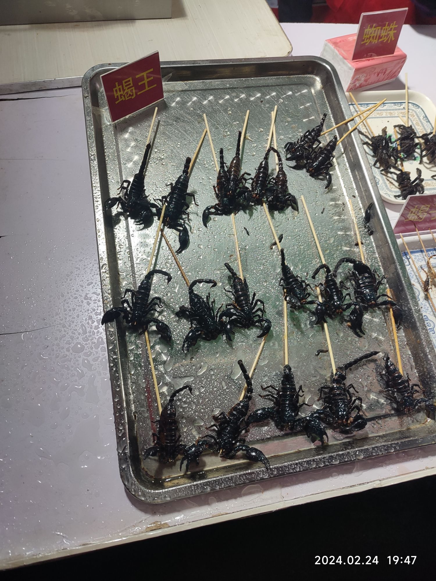 糖球广场旅行图片 3