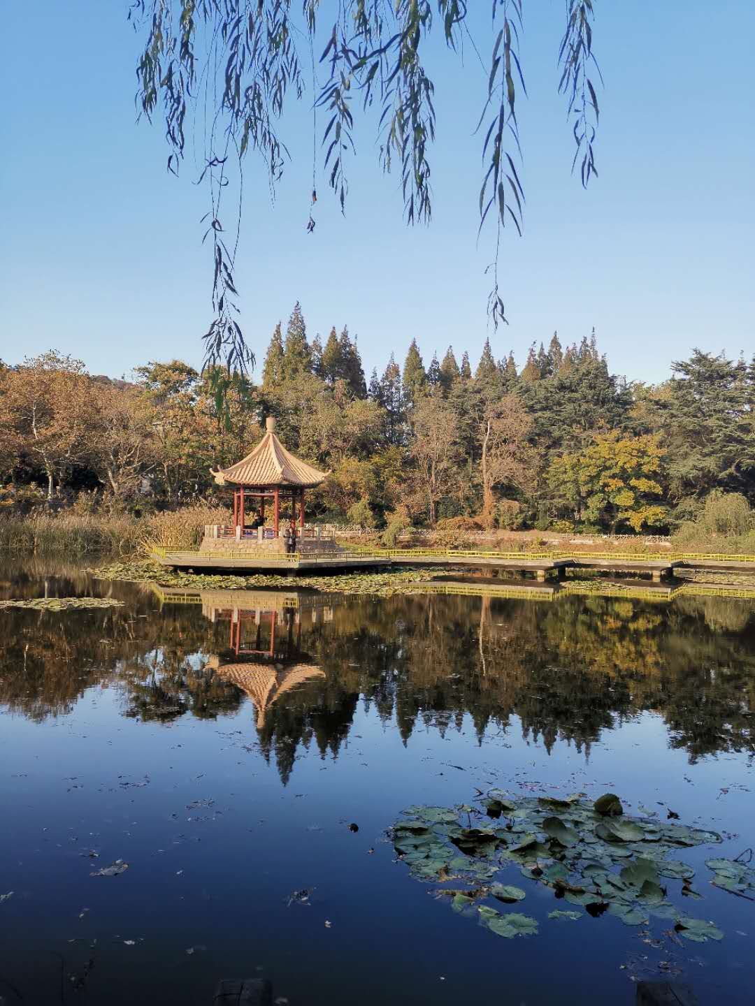 八大湖公园旅行图片 1