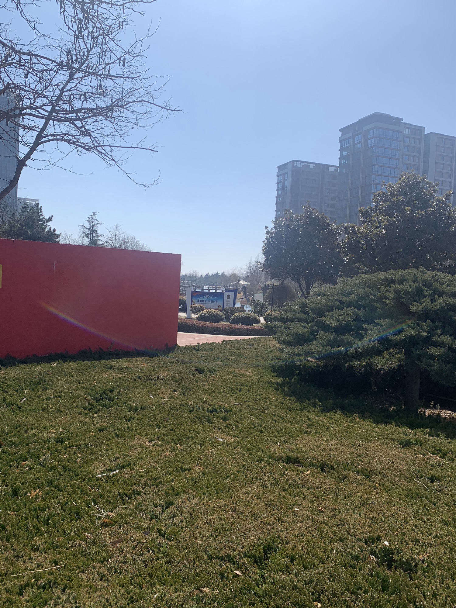 丁家河公园旅行图片 1