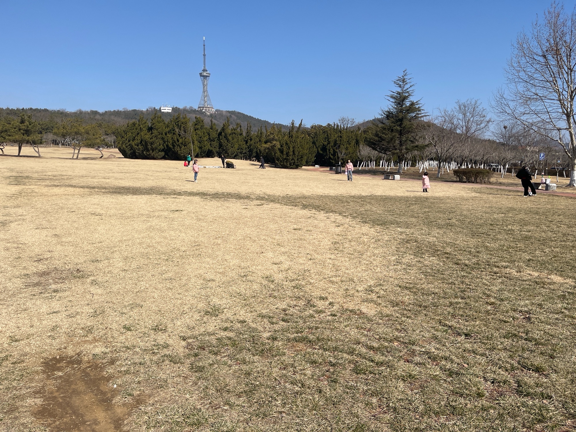 丁家河公园旅行图片 1
