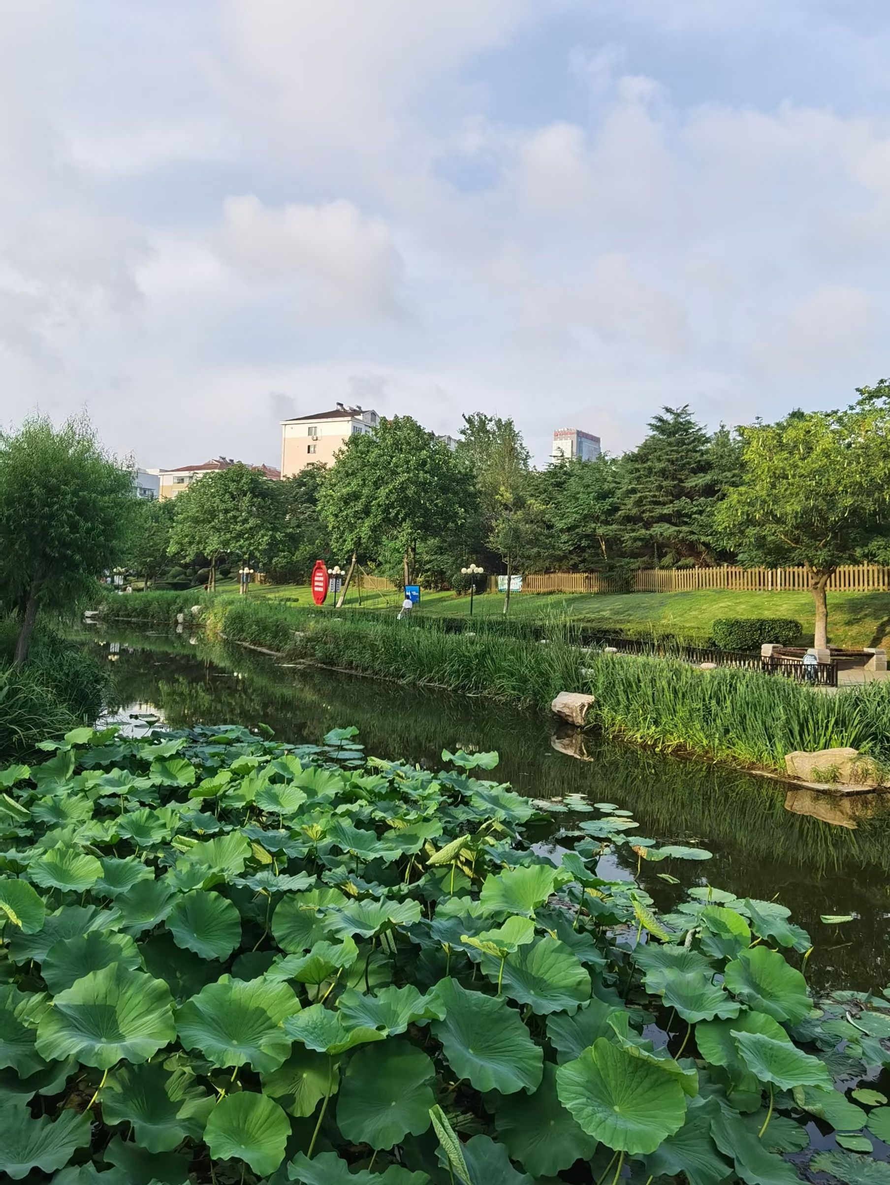 丁家河公园旅行图片 3