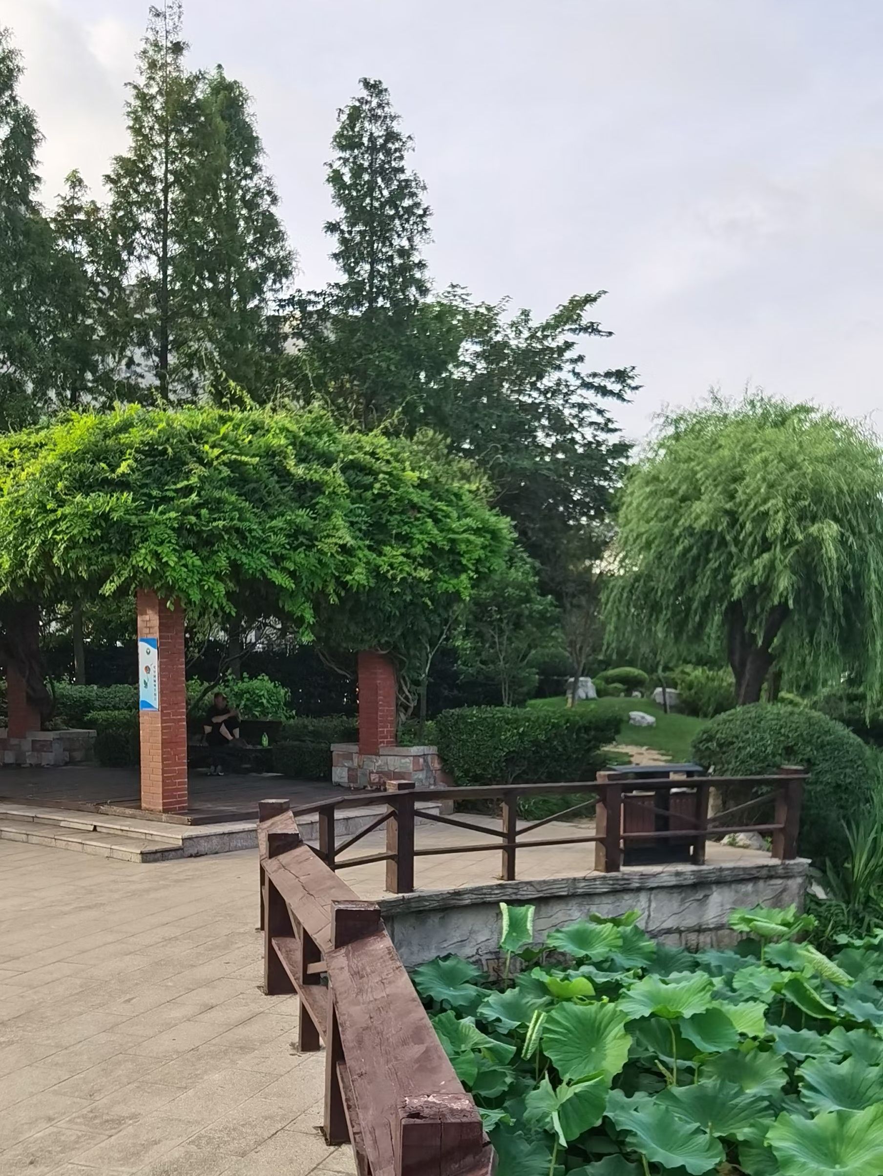 丁家河公园旅行图片 2