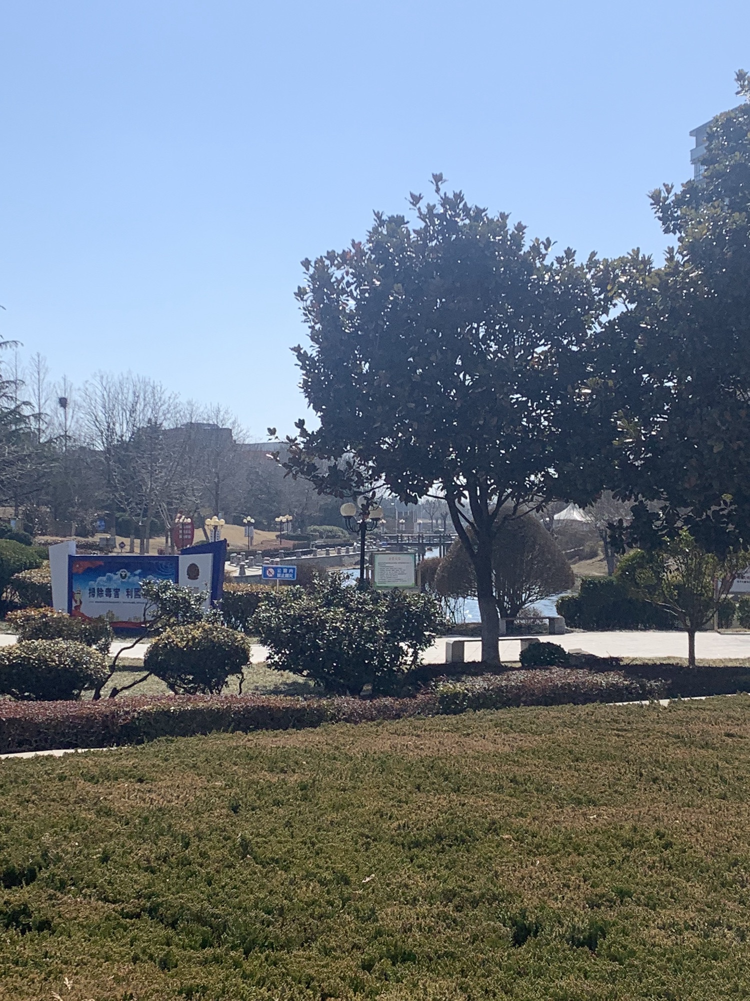 丁家河公园旅行图片 3