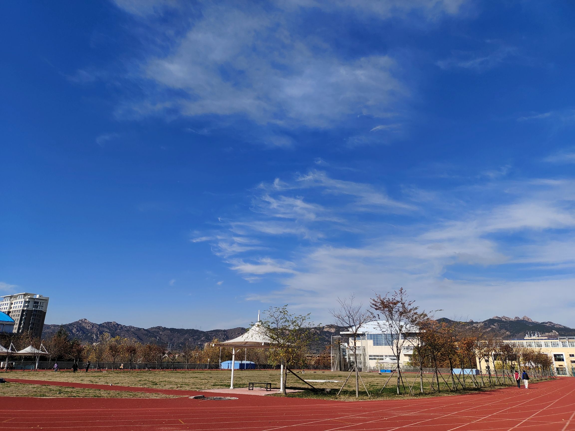 青岛市体育运动学校
