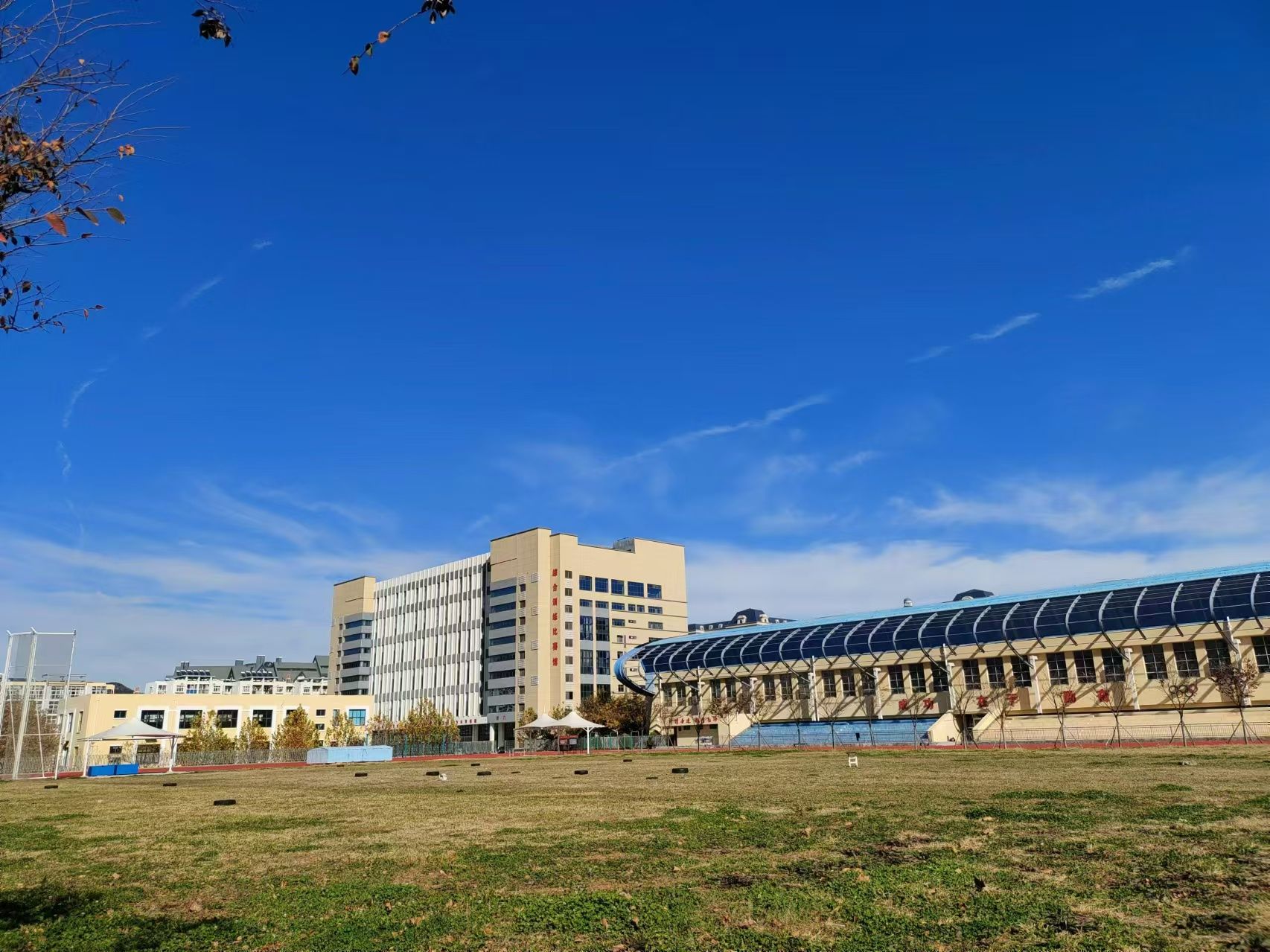 青岛市体育运动学校