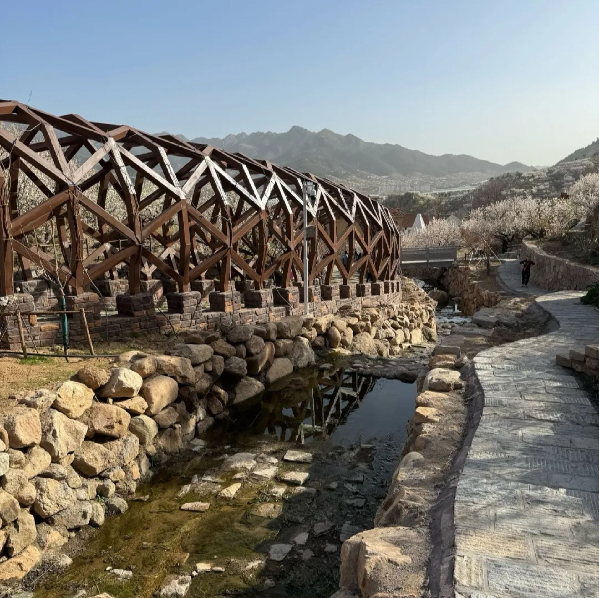 崂山大崂樱桃谷旅行图片