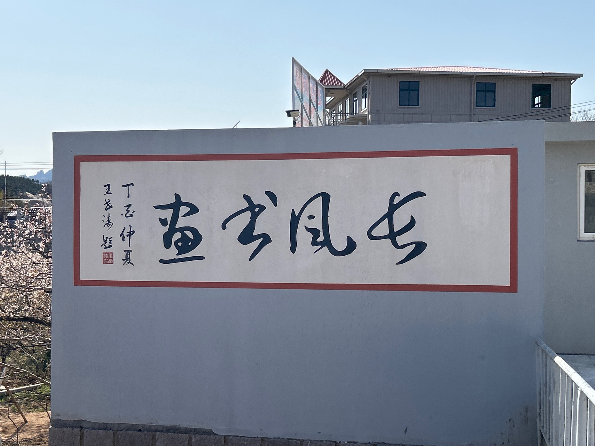 崂山大崂樱桃谷旅行图片 2