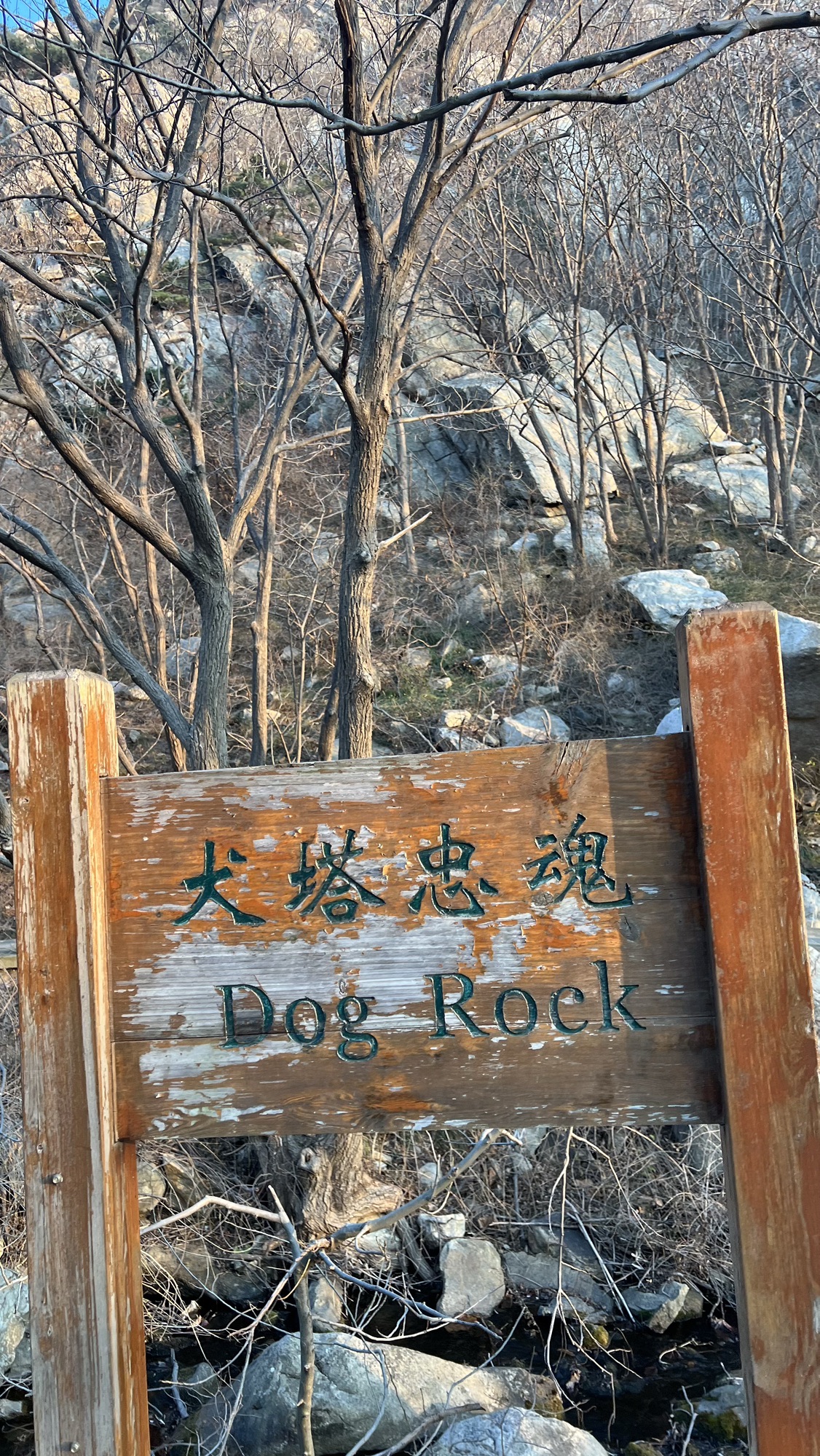 茶山风景区旅行图片 1
