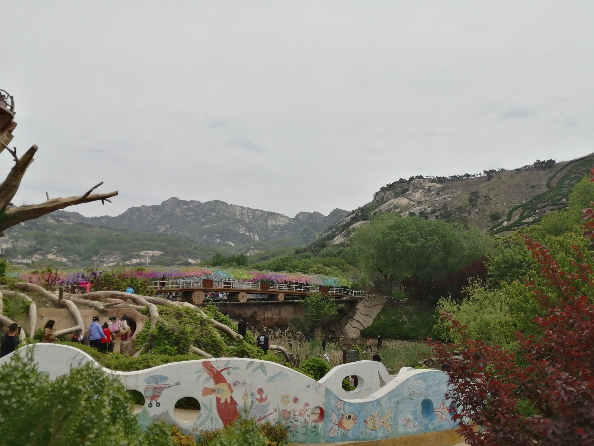 茶山风景区旅行图片 2