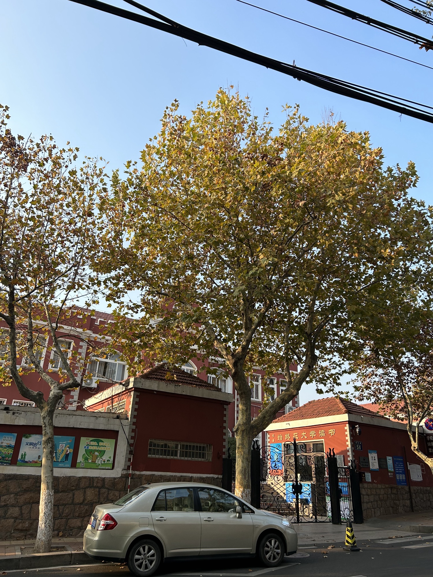 青岛大学路小学(大学路)