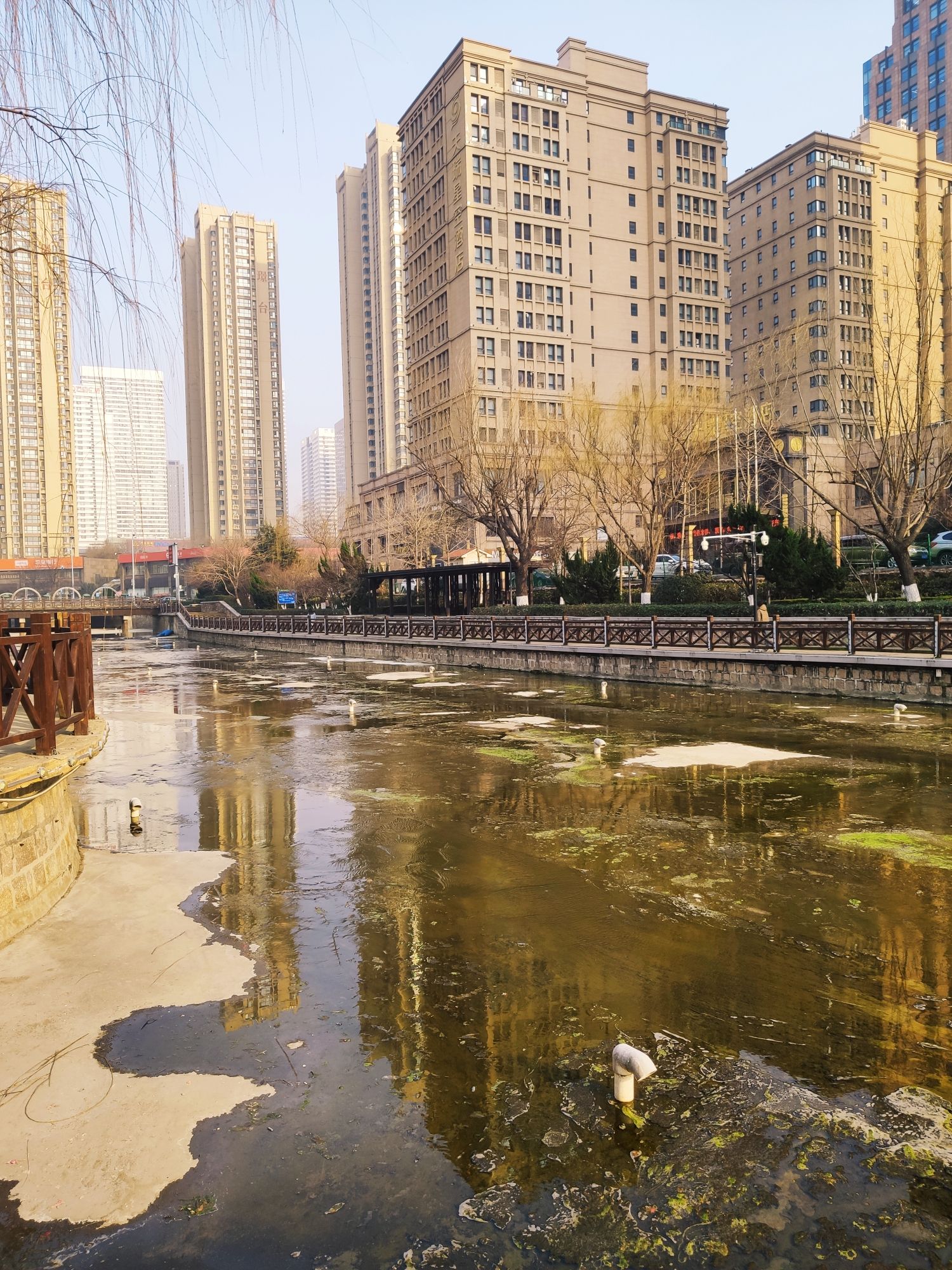 畅景园旅行图片 2