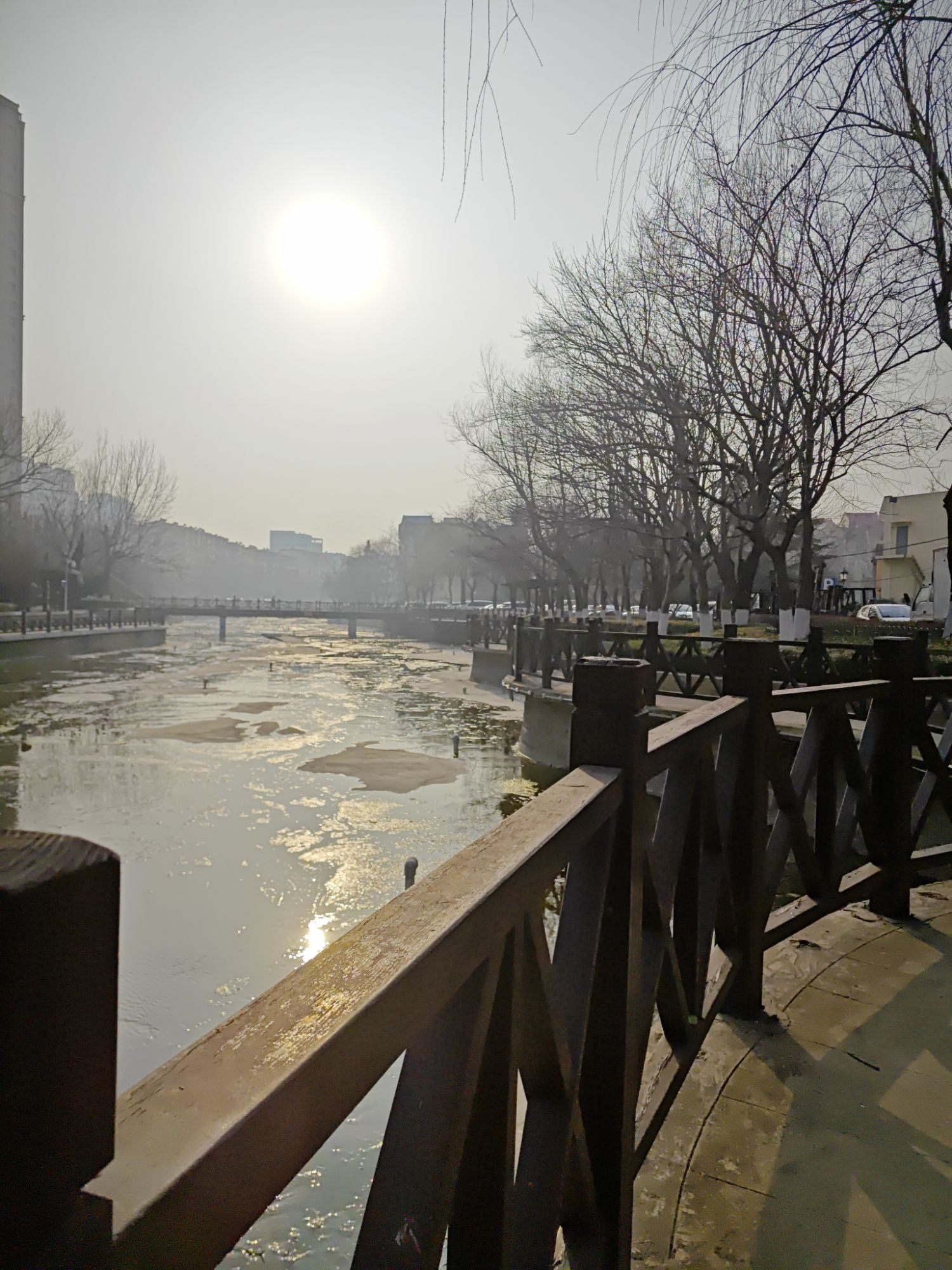 畅景园旅行图片