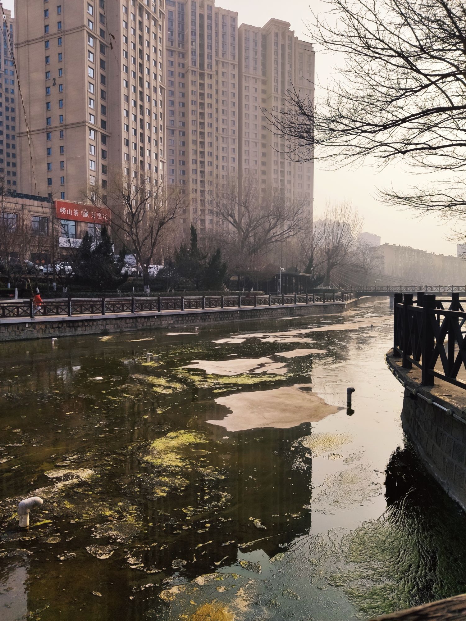 畅景园旅行图片