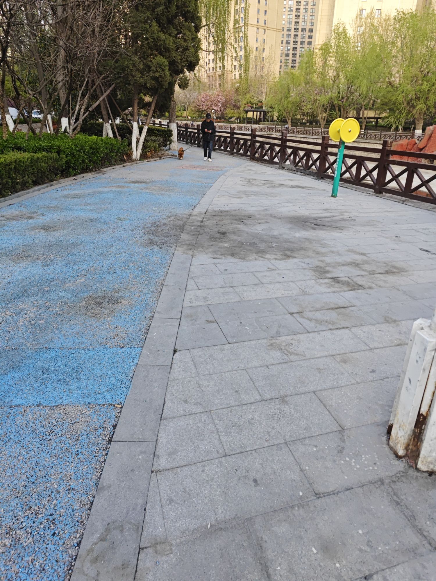 畅景园旅行图片