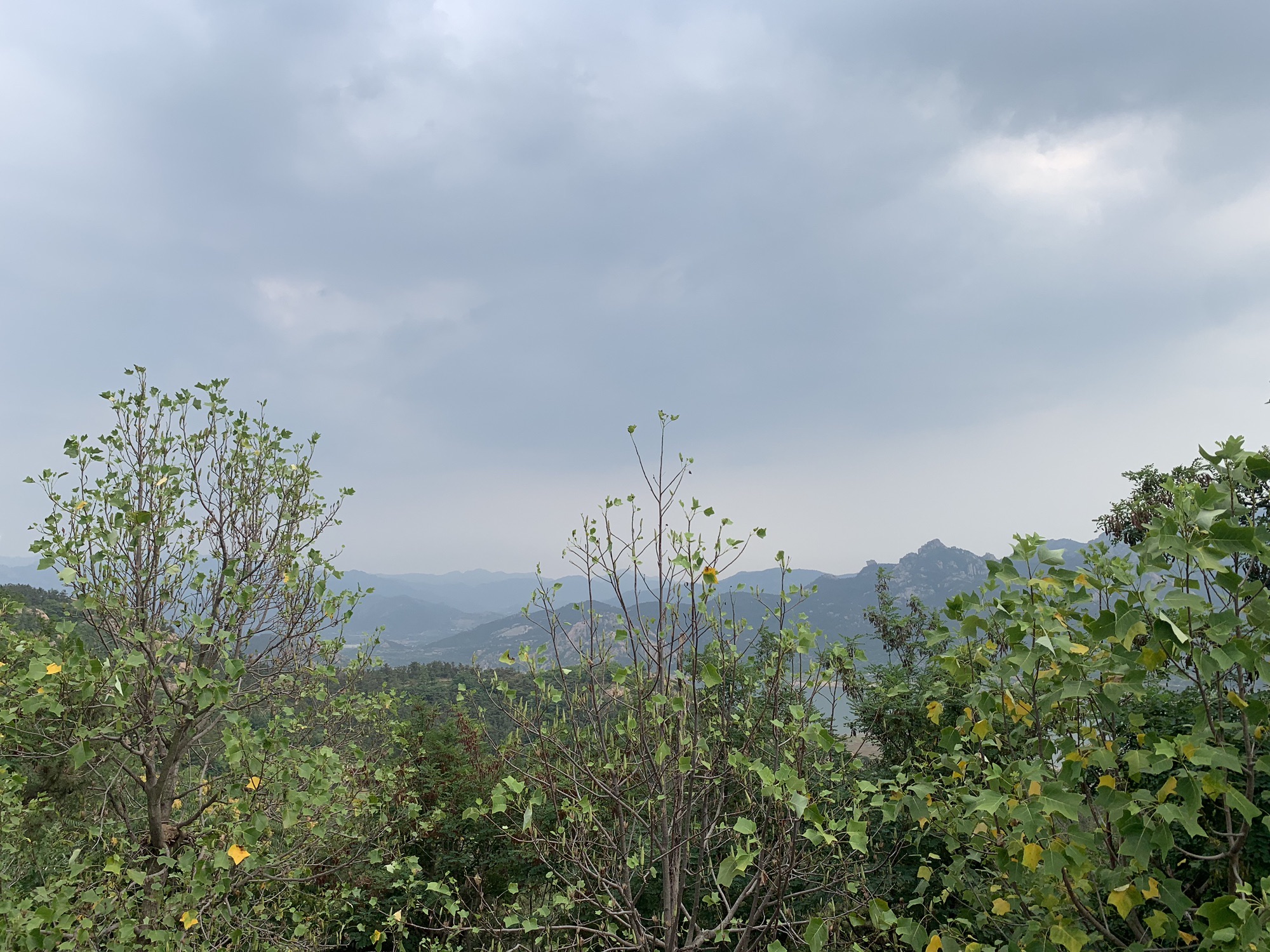 青岛毛公山风景区旅行图片 3