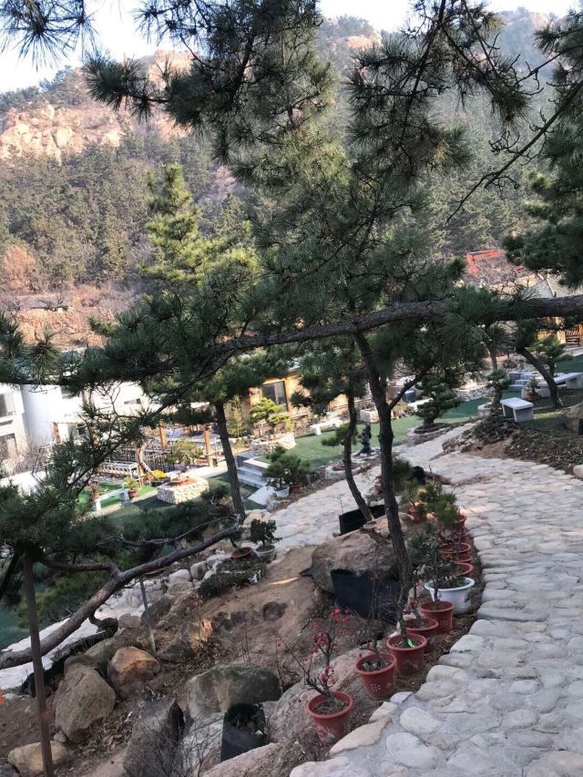 青岛毛公山风景区旅行图片 2