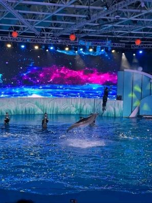 海合安·青岛极地海洋公园旅行图片 3