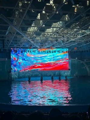 海合安·青岛极地海洋公园旅行图片 1