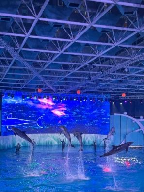 海合安·青岛极地海洋公园旅行图片 2