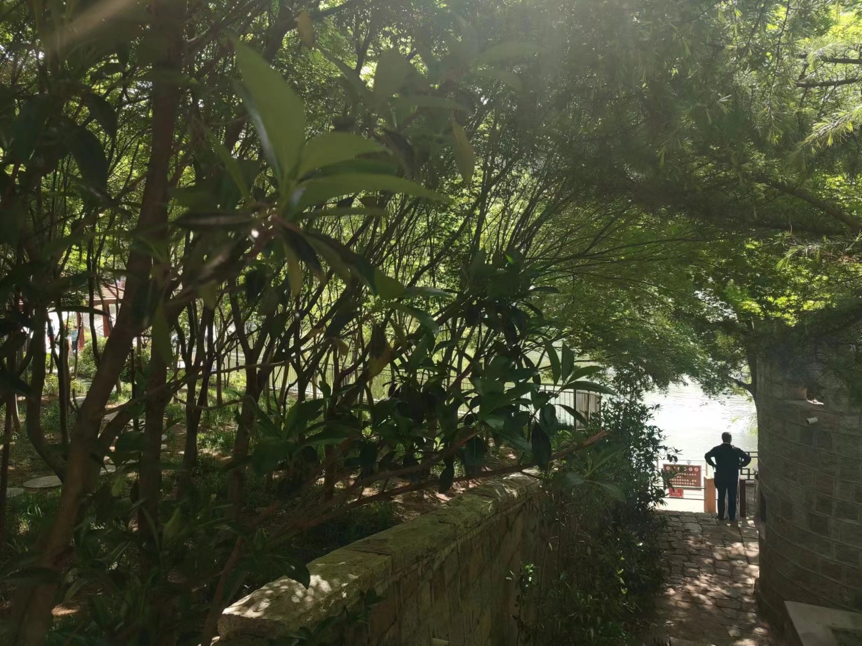 青岛北岭山森林公园旅行图片 2